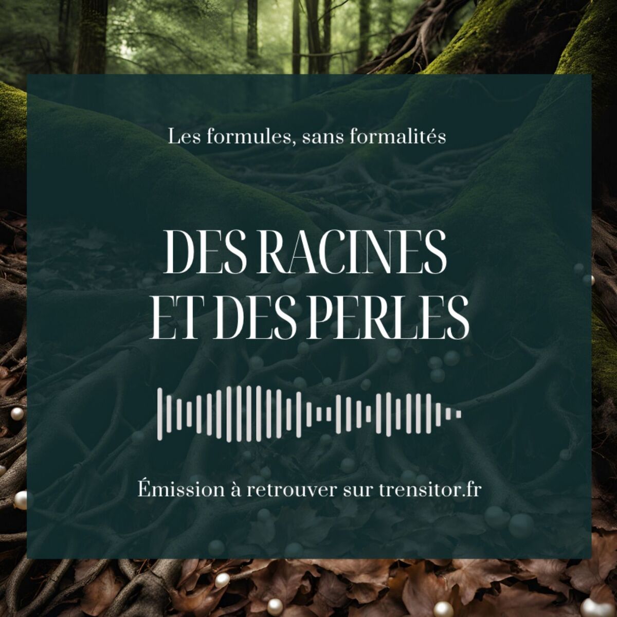Show cover of Des racines et des perles