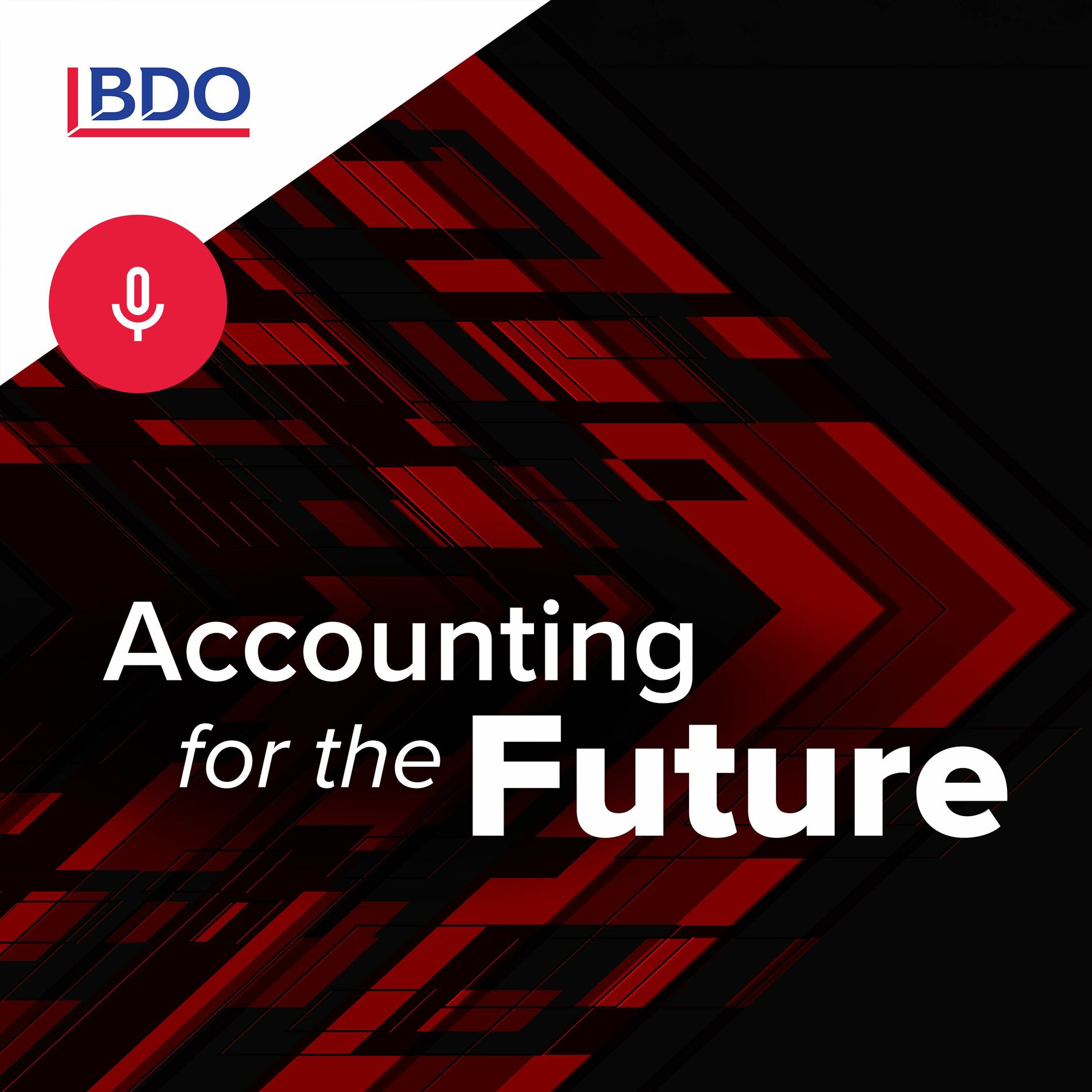 Show cover of Accounting for the Future