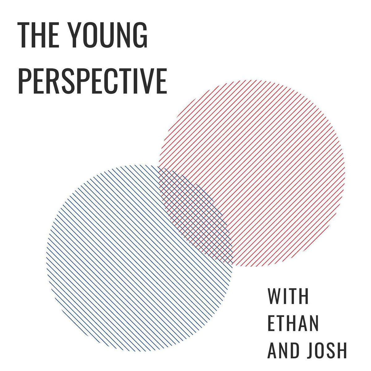 Show cover of The Young Perspective