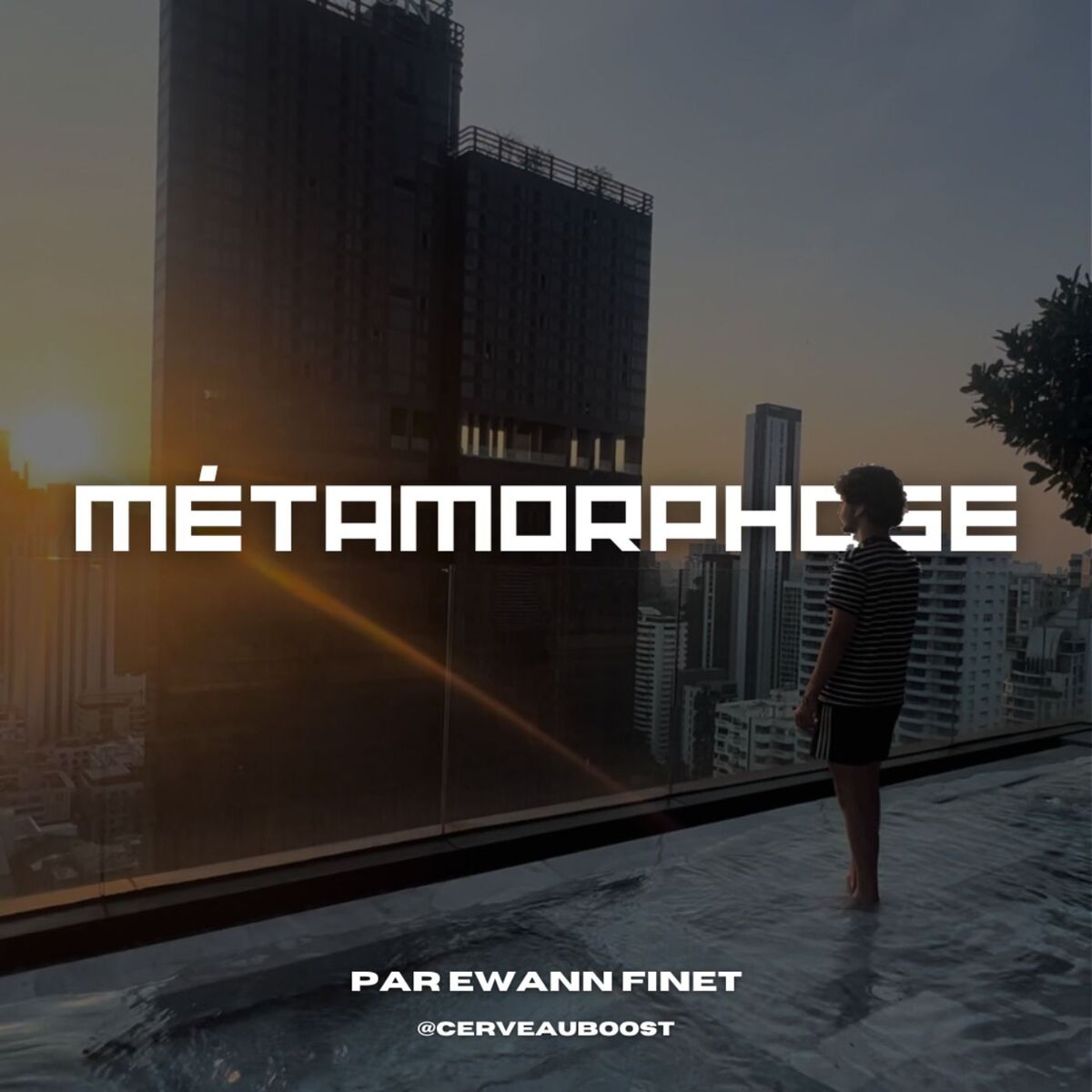Show cover of Métamorphose - Cerveauboost