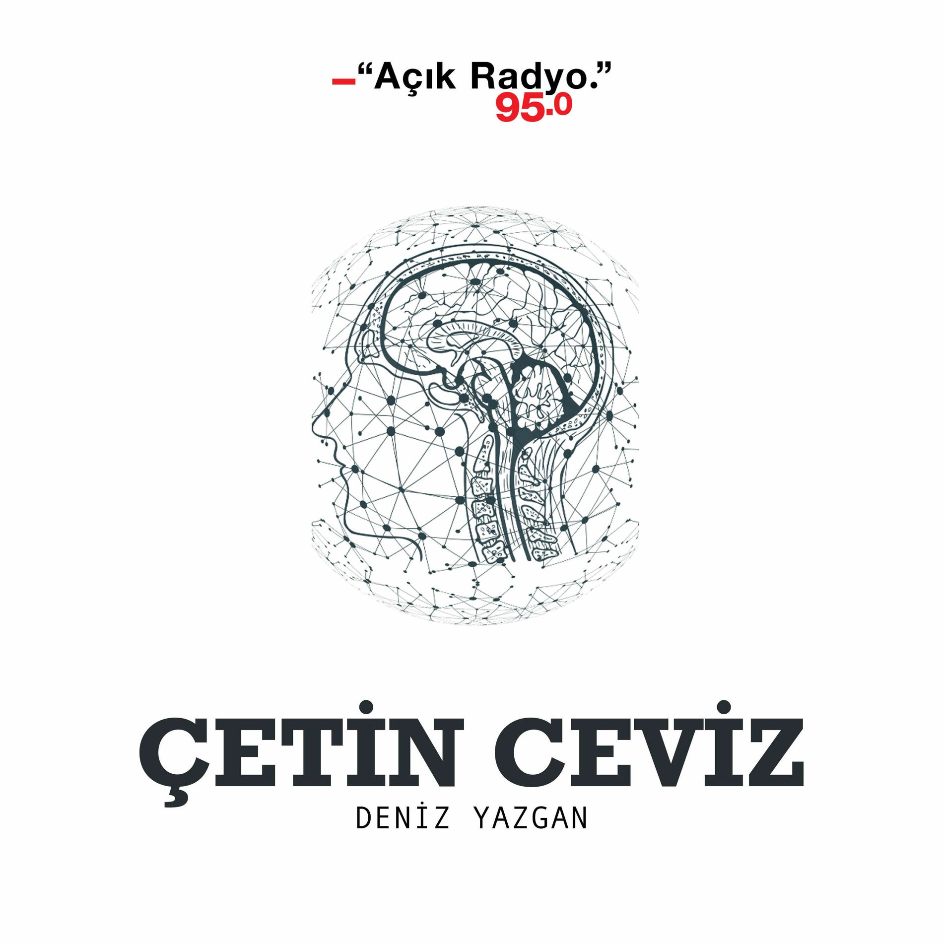 Show cover of Çetin Ceviz