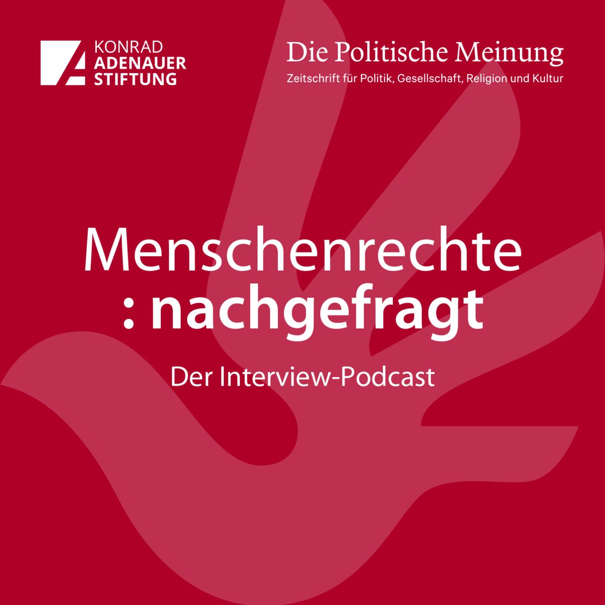 Show cover of Menschenrechte: nachgefragt! - Der Interview-Podcast rund ums Thema Menschenrechte