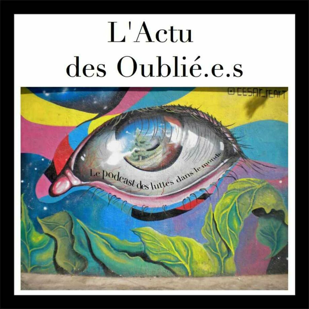 Show cover of L'Actu des Oublié.e.s