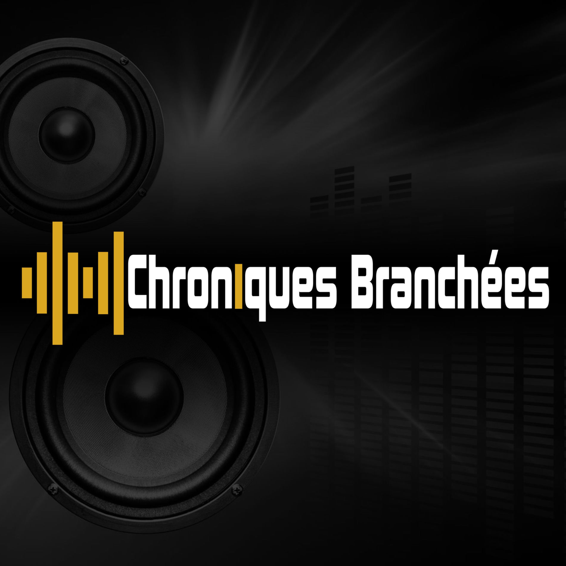Show cover of Chroniques Branchées