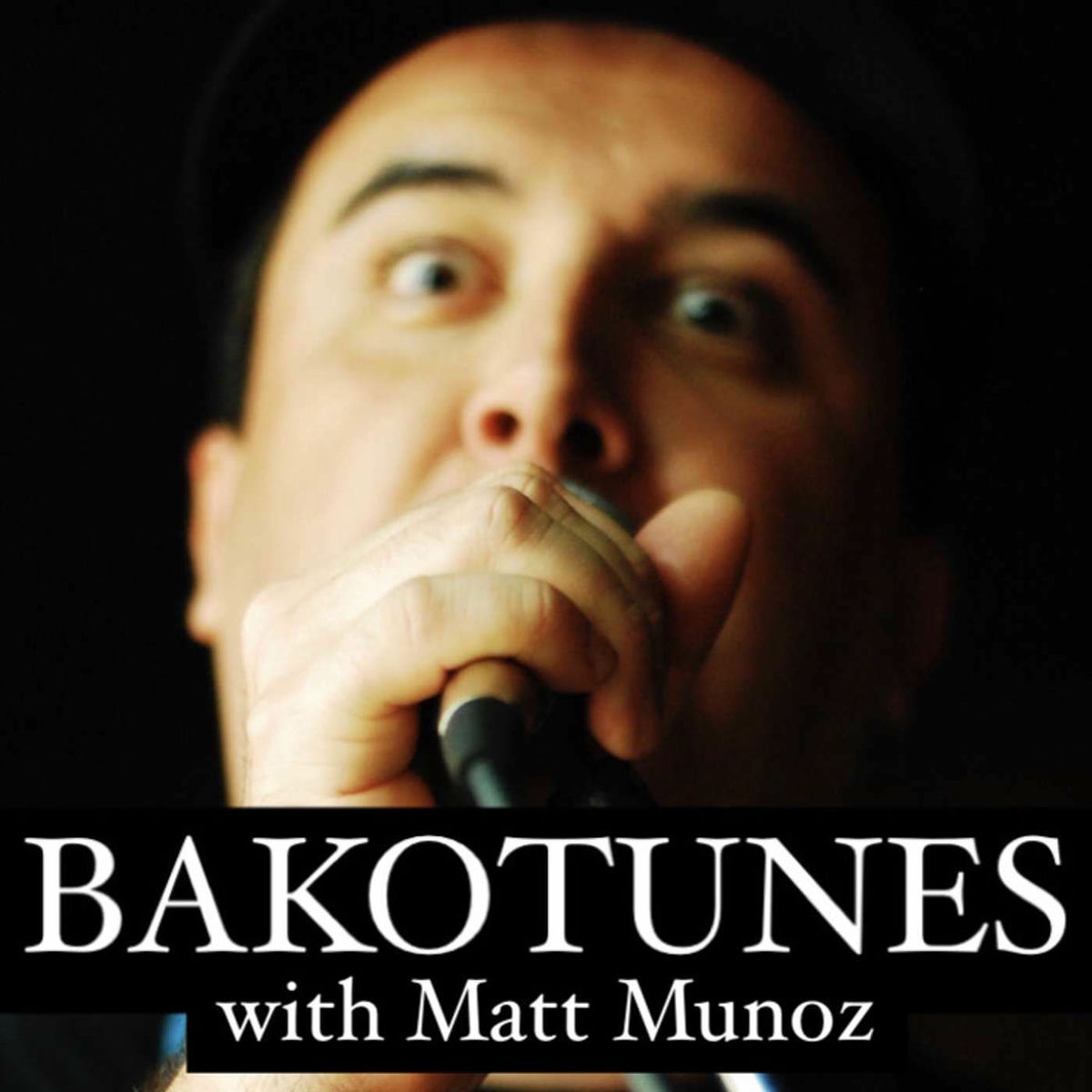 Show cover of Bakotunes