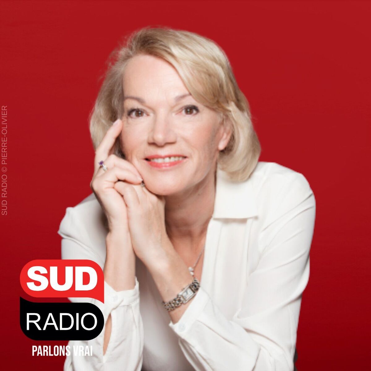 Show cover of Le love conseil