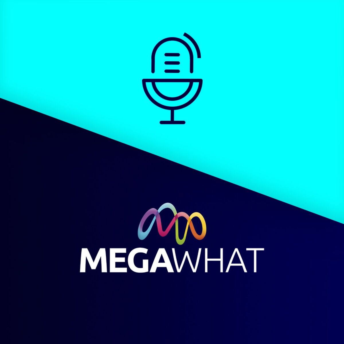 Show cover of MegaCast
