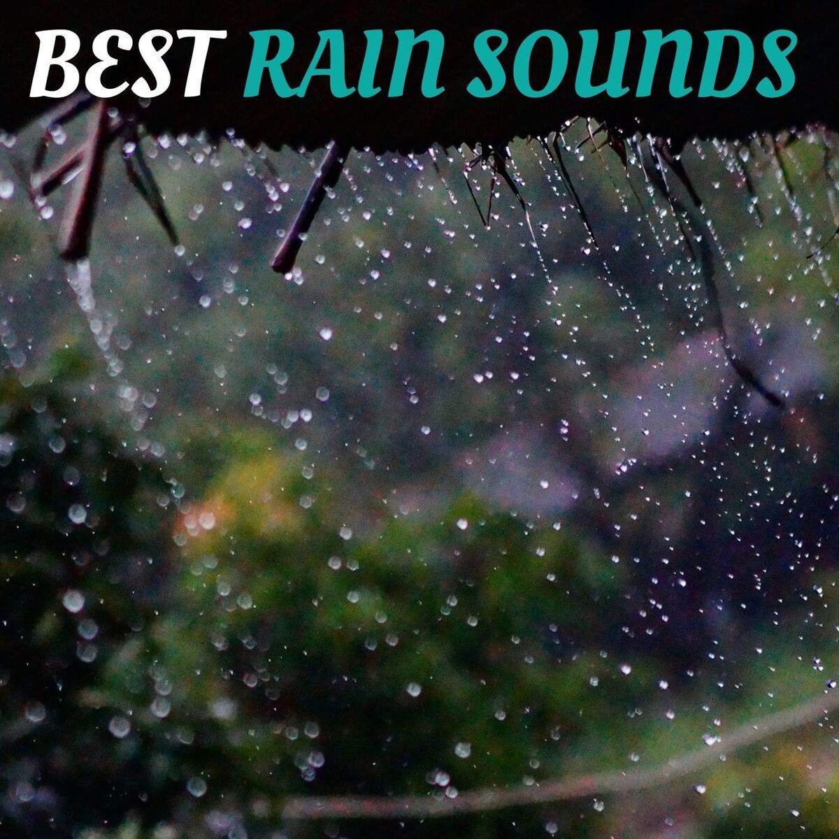 Show cover of Best Rain Sounds