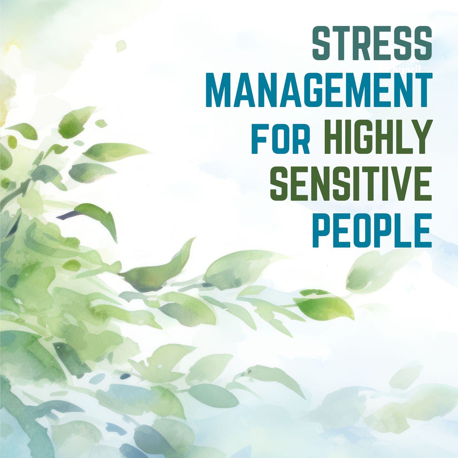Show cover of Stress Management for Highly Sensitive People (HSP): Inner Work and Strategies for Coping with Stress, Overwhelm, and Negative Emotions