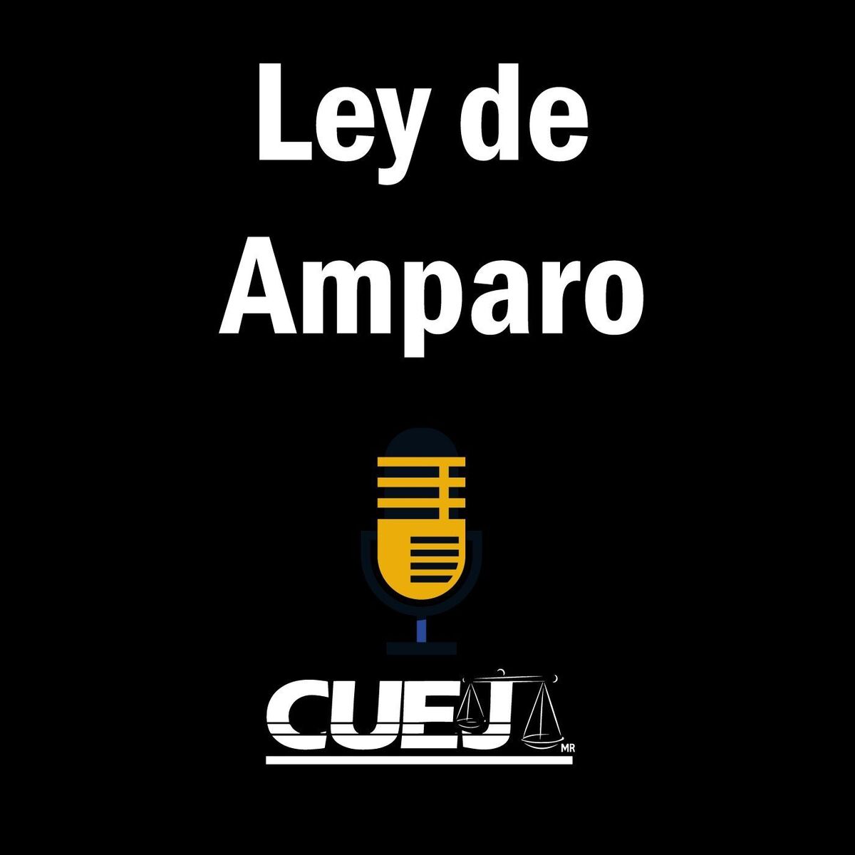Show cover of Ley de Amparo