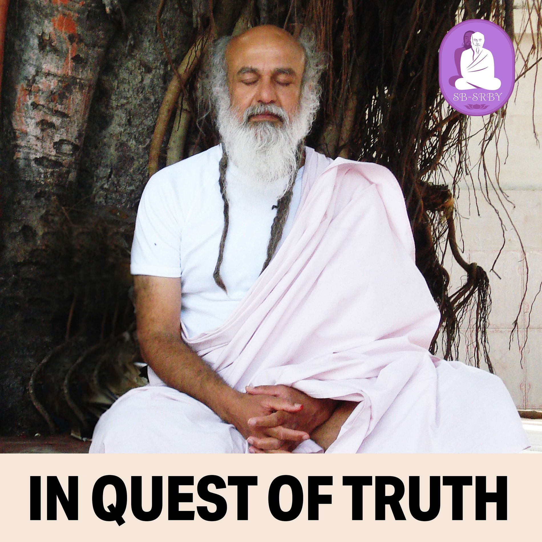 Show cover of In Quest of Truth - Q&A with Shri Babaji