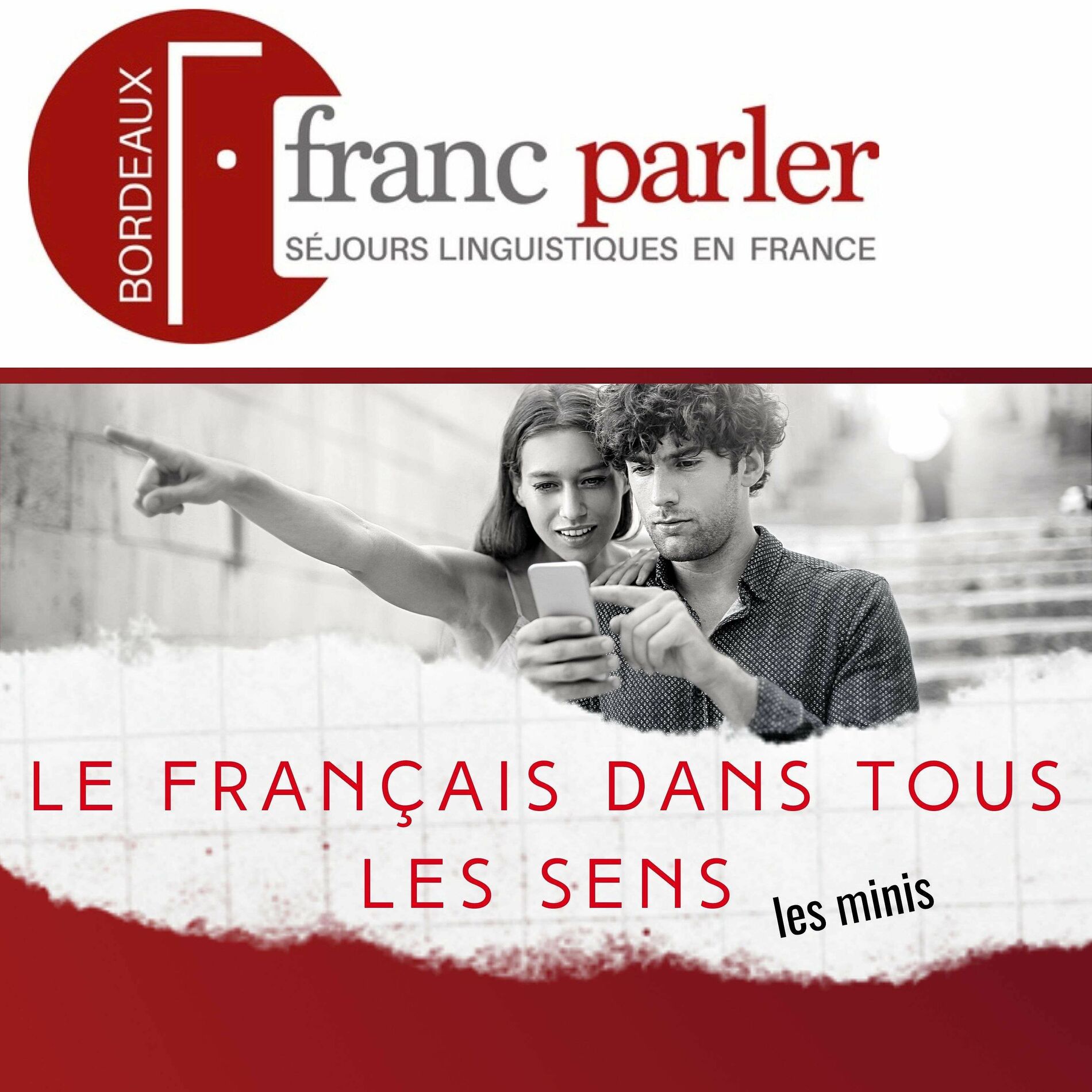 Show cover of le français dans tous les sens