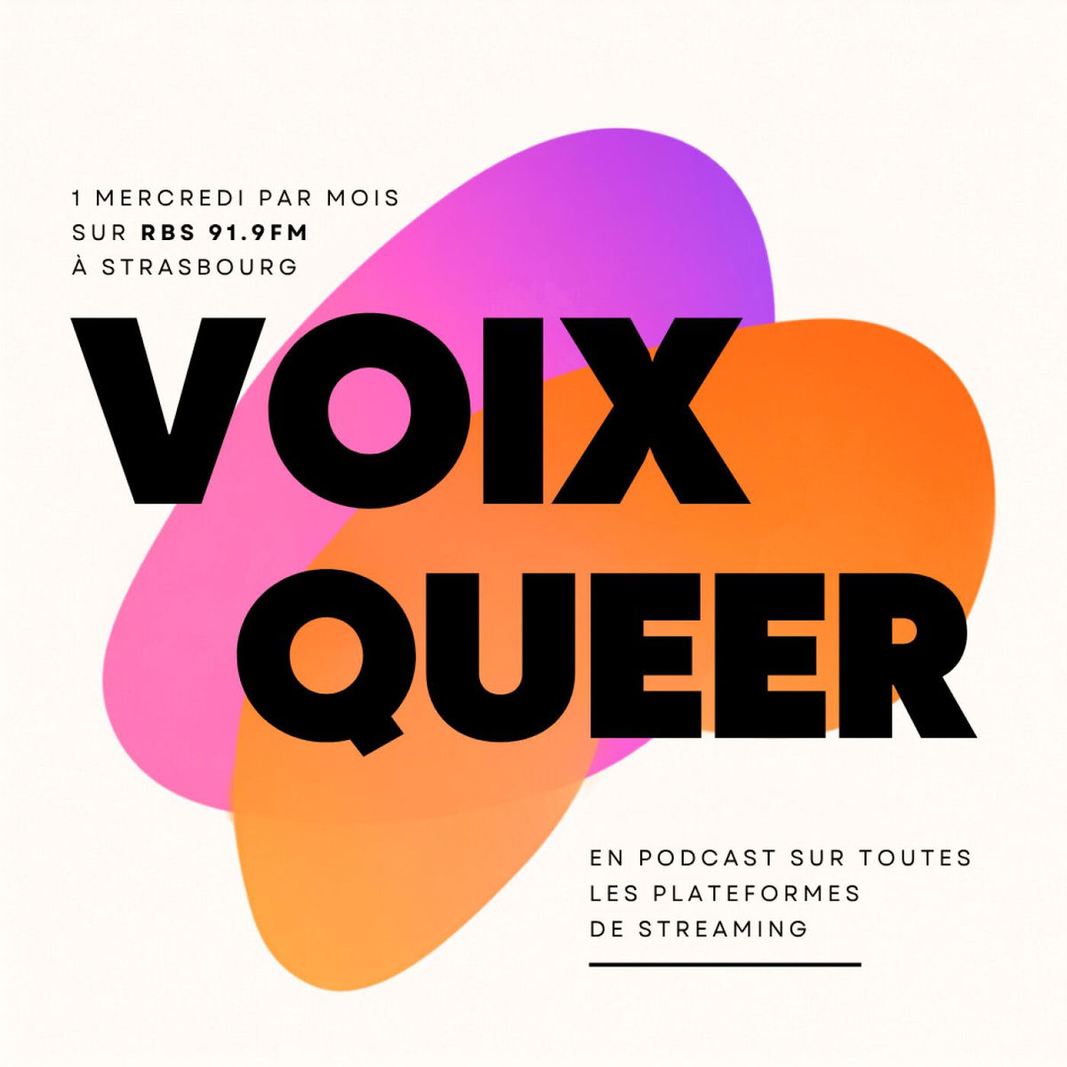 Show cover of Voix Queer