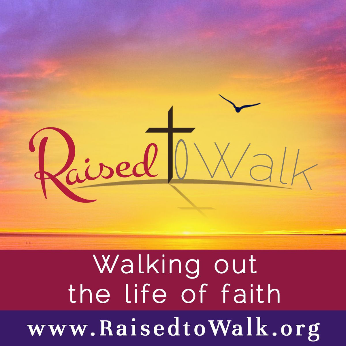 Show cover of Raised to Walk Podcast