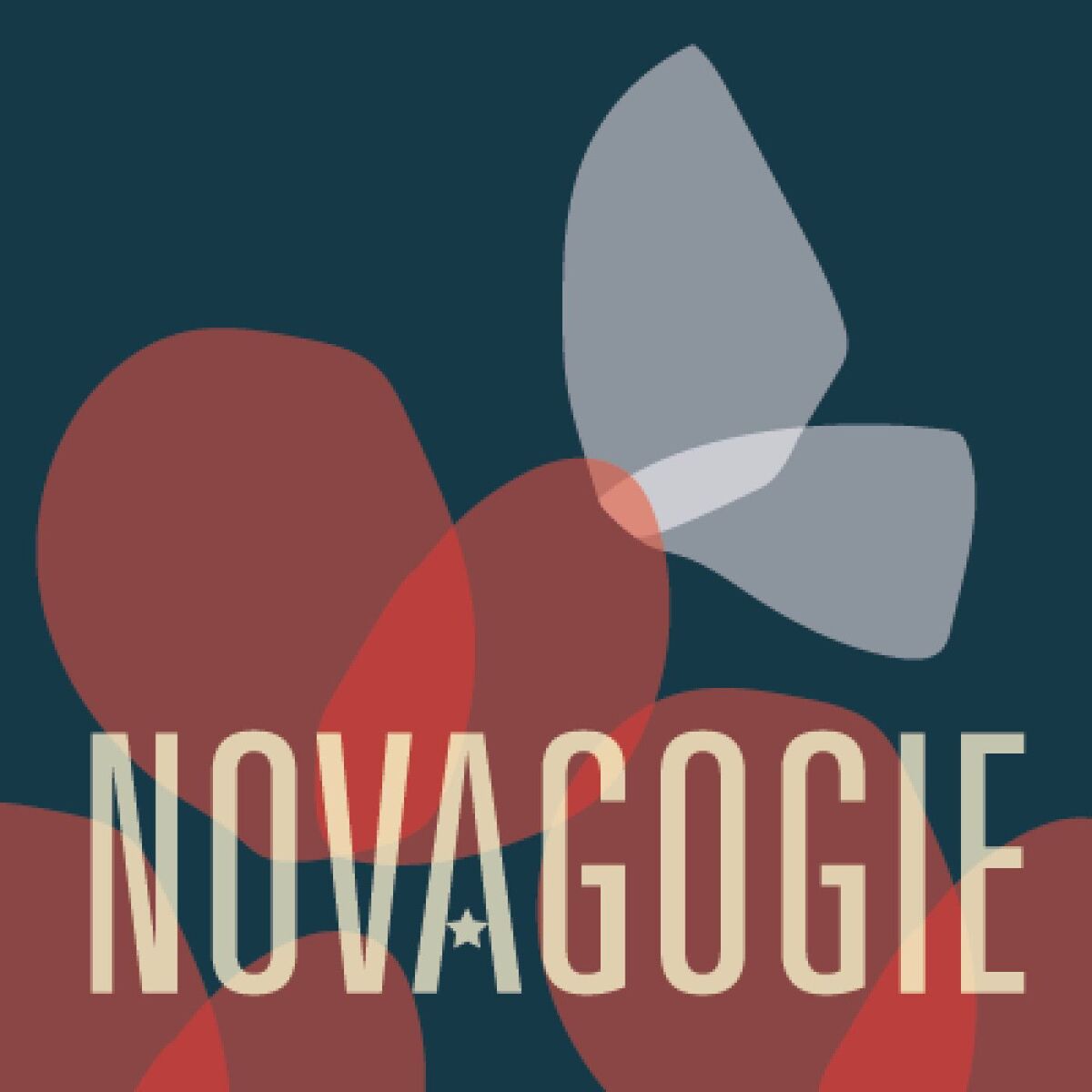 Show cover of Novagogie