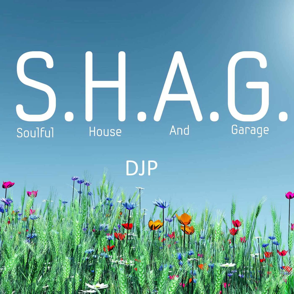 Show cover of DJP's S.H.A.G. Soulful House And Garage live Radio show on http://PressureRadio.com