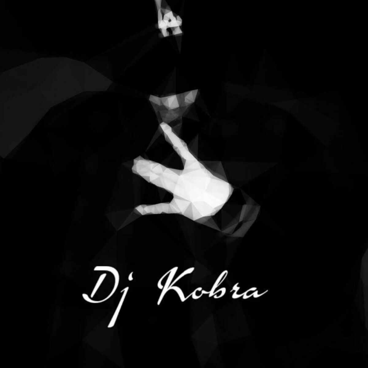 Show cover of DJ KOBRA - MIXTAPES