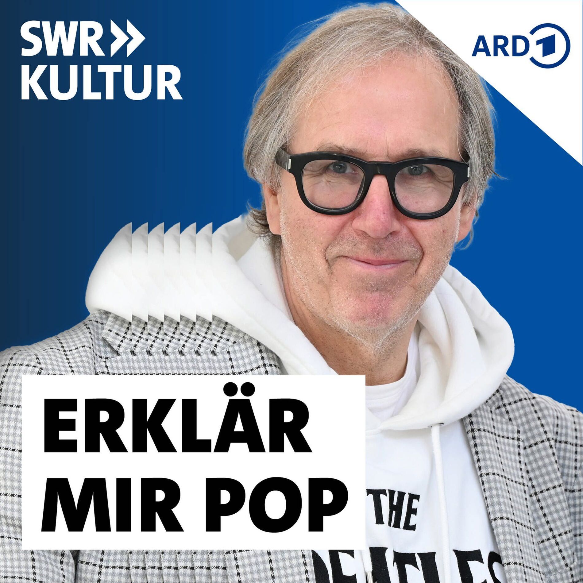 Show cover of Erklär mir Pop