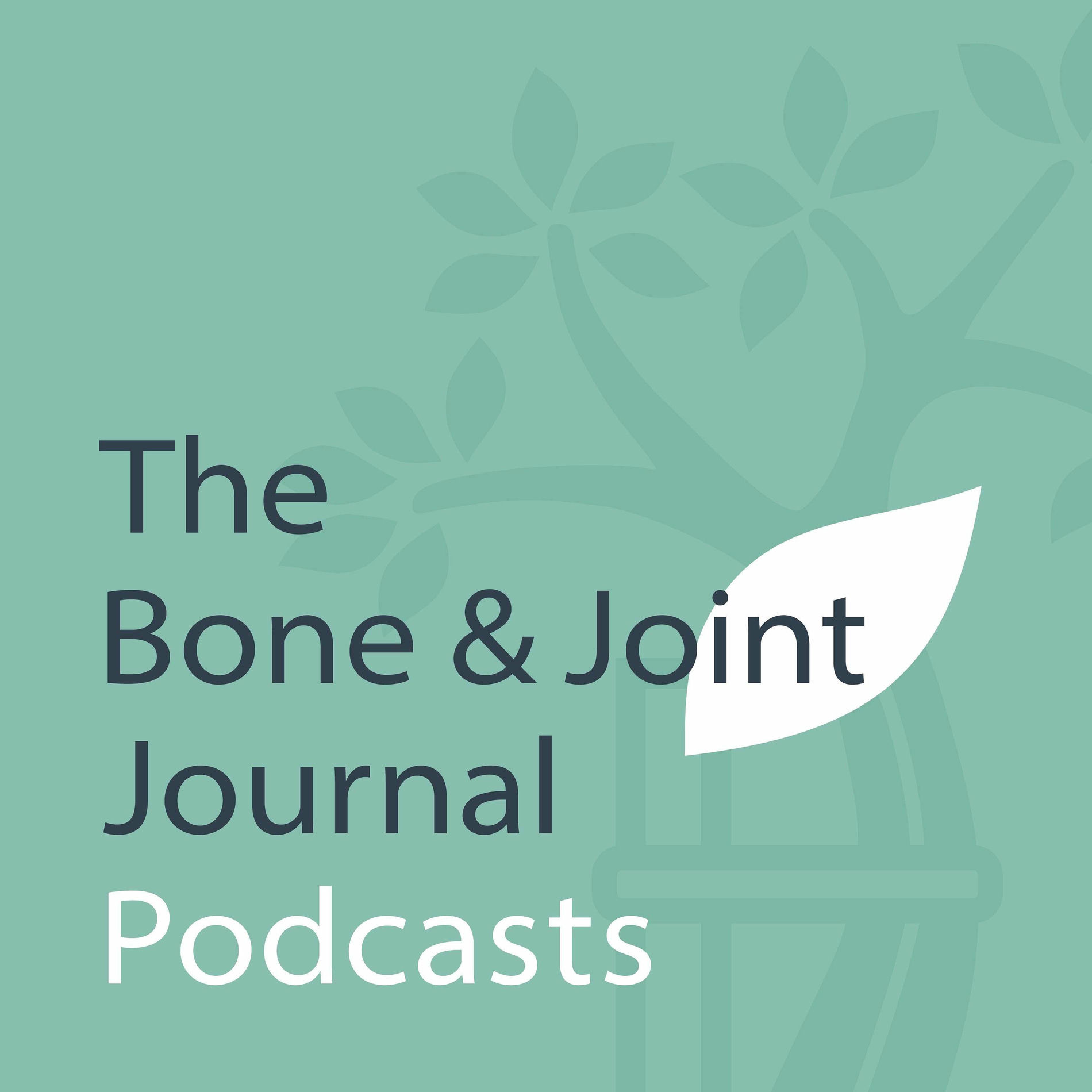 Show cover of BJJ Podcasts