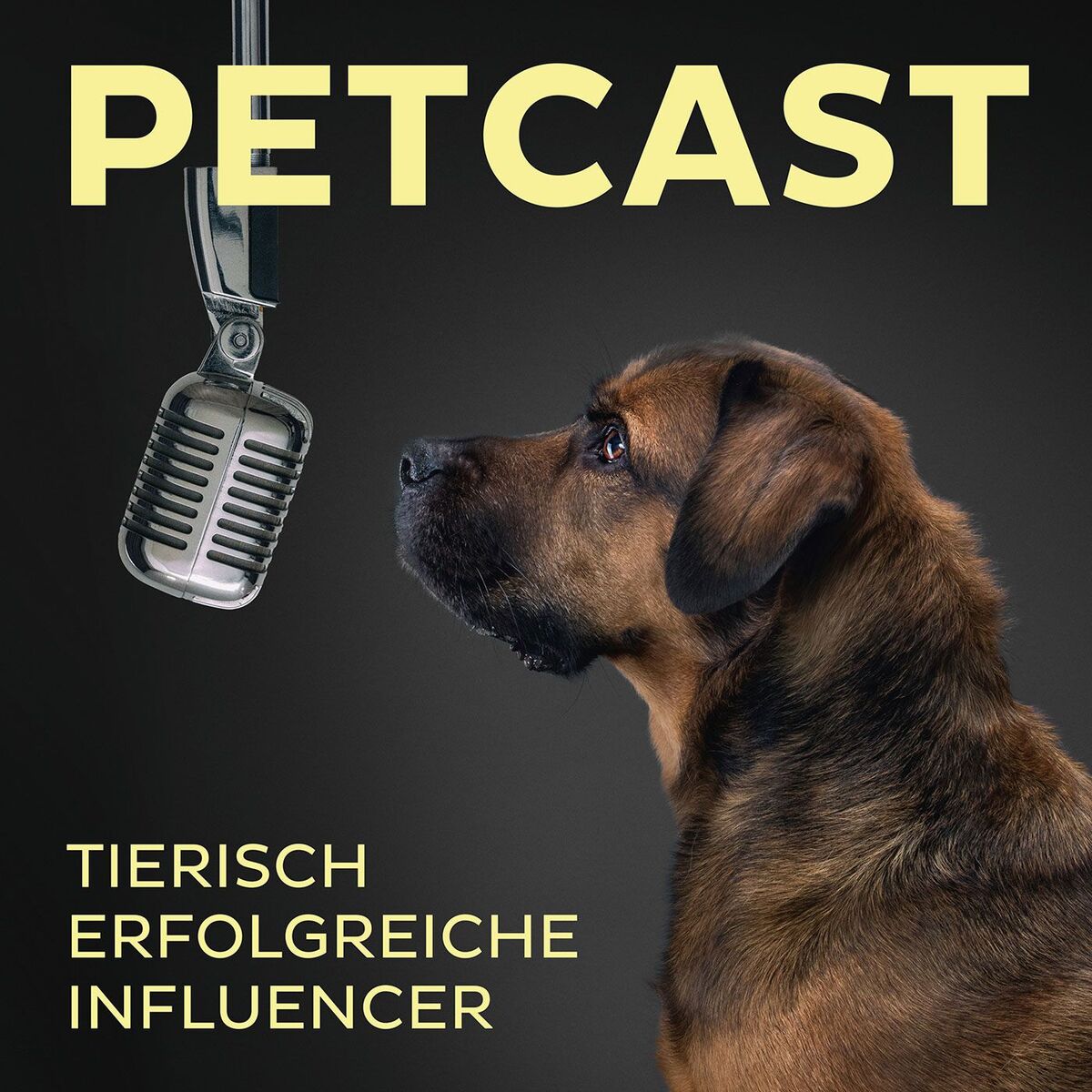 Show cover of PETCAST – tierisch erfolgreiche Influencer
