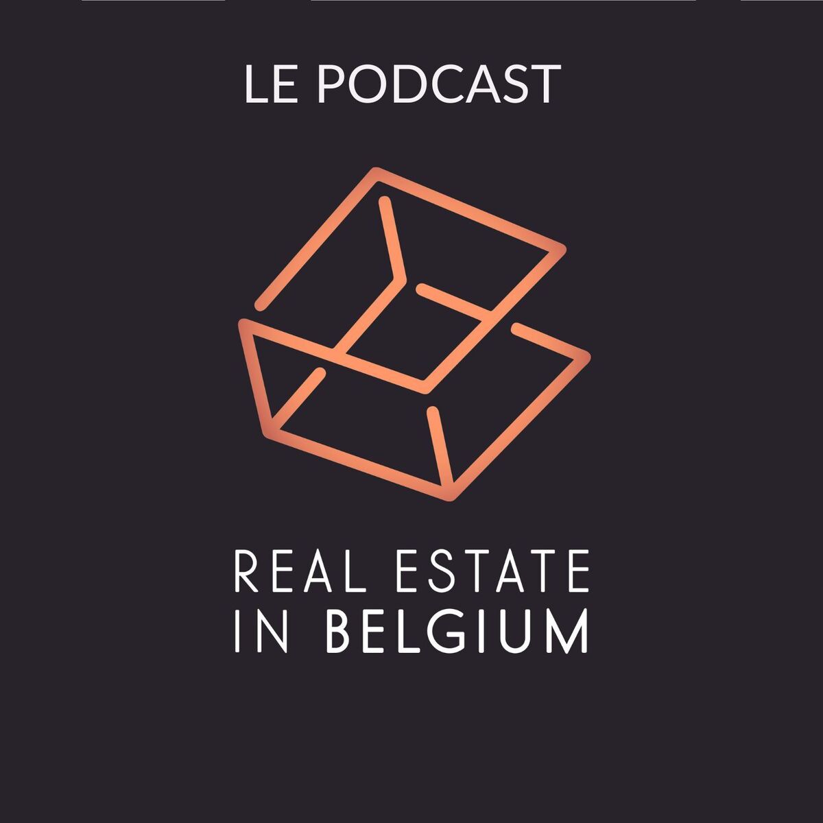 Show cover of Investir dans l'immobilier en Belgique