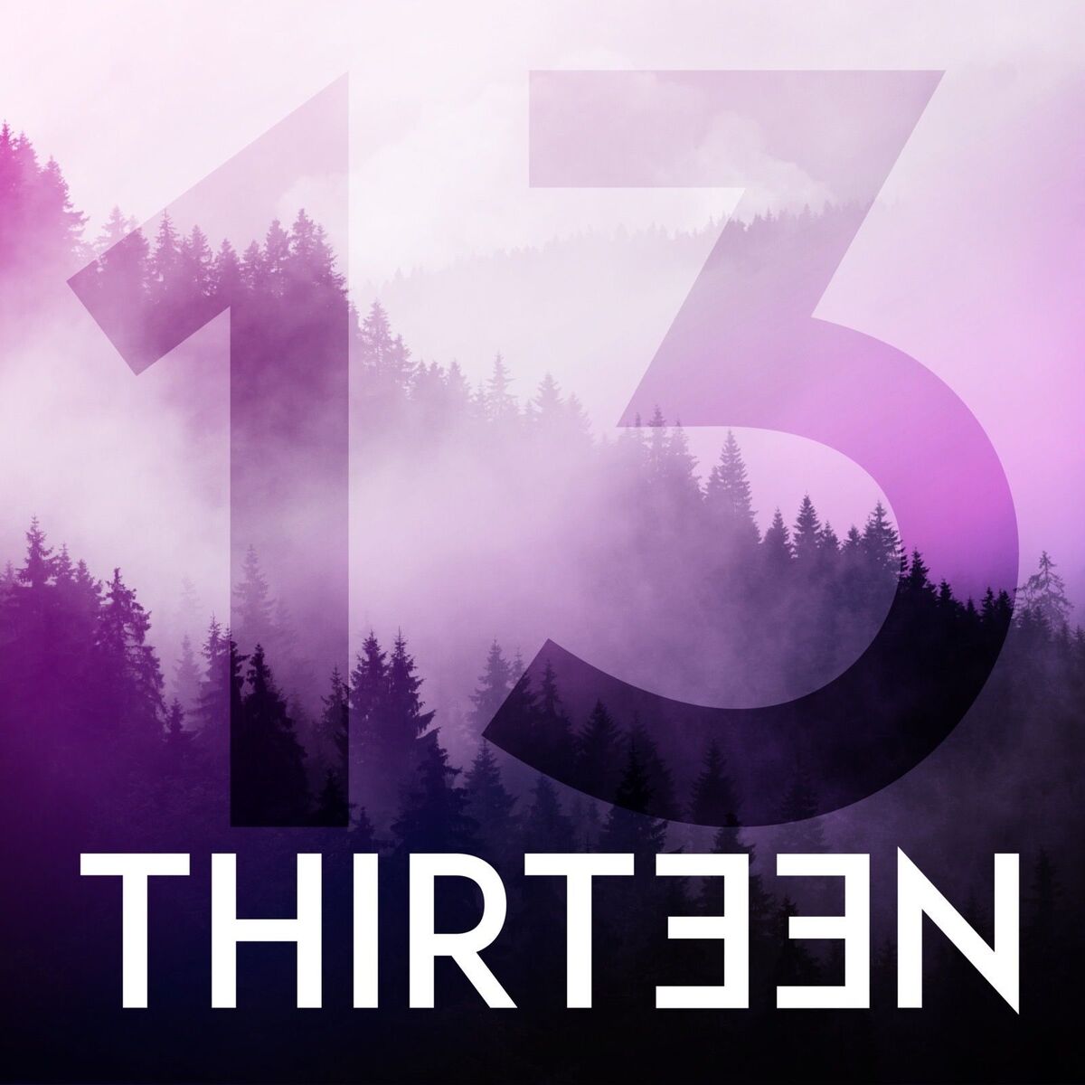 Show cover of Thirteen