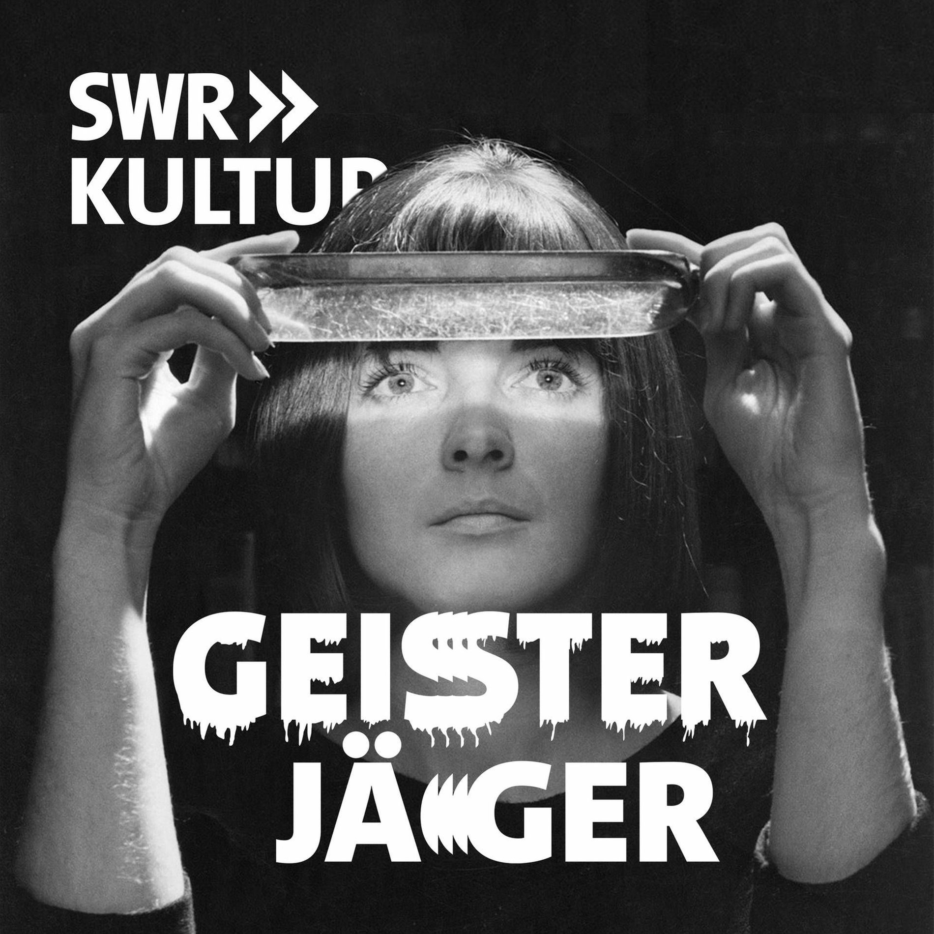 Show cover of Geisterjäger