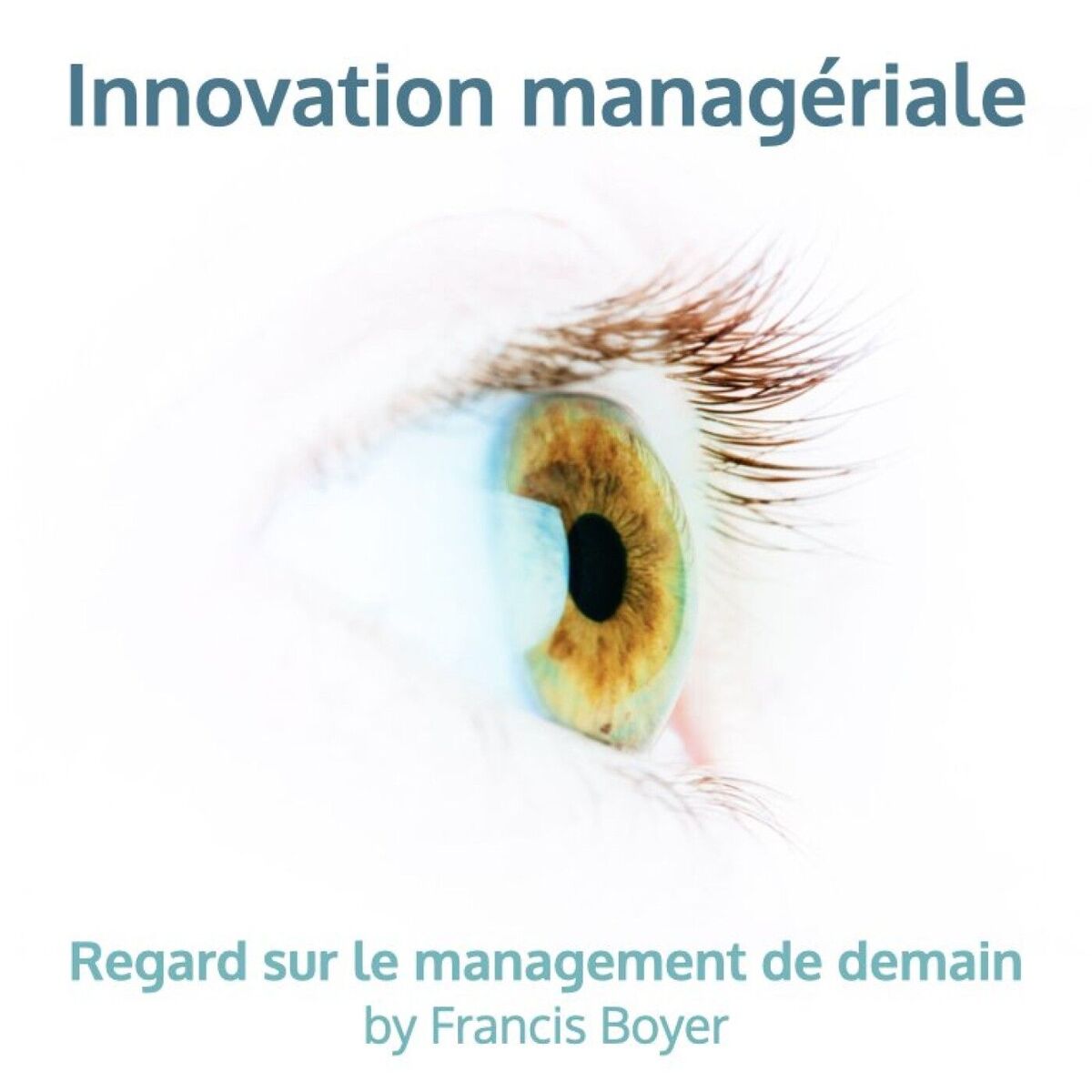 Show cover of Innovation managériale, regard sur le management de demain