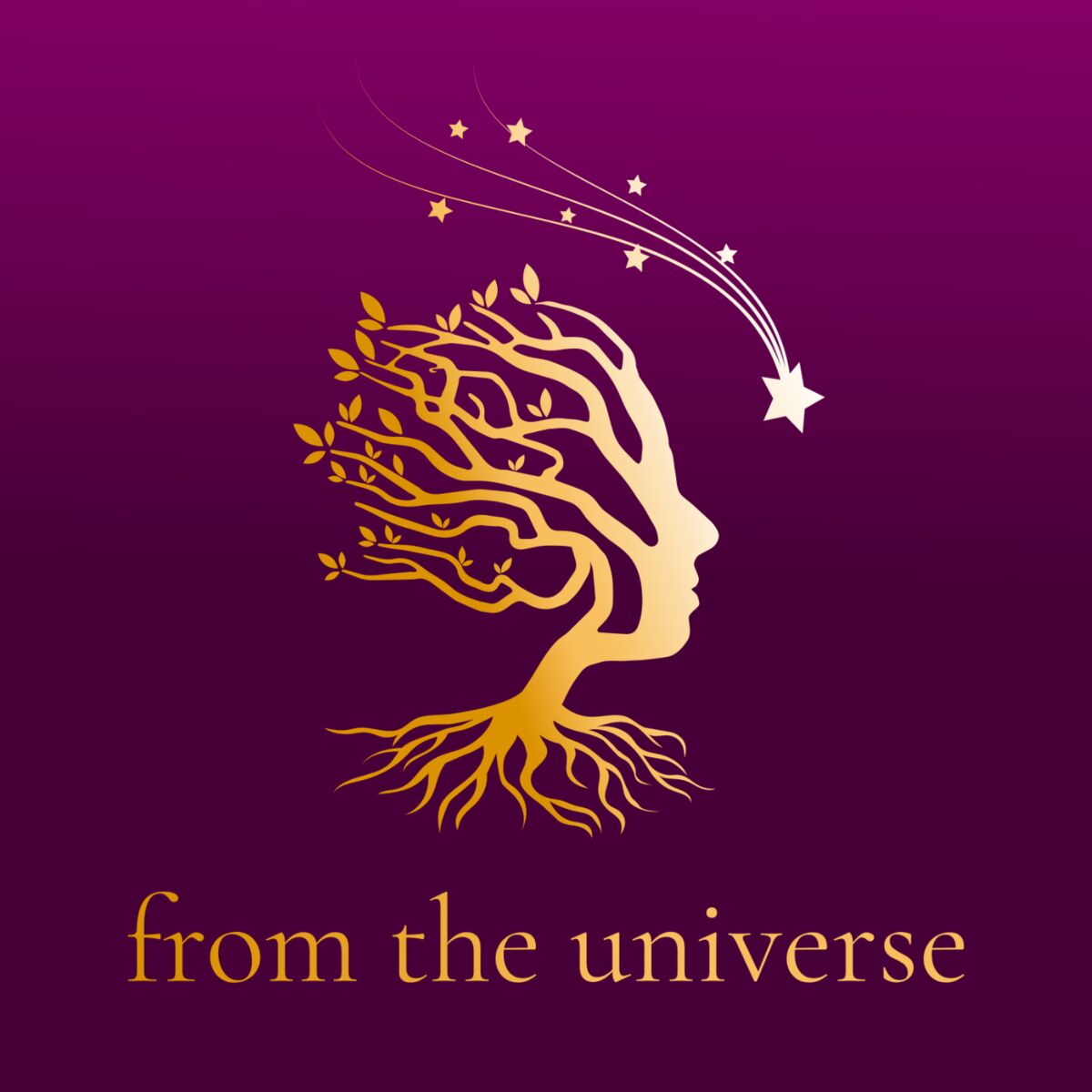 Show cover of from the universe