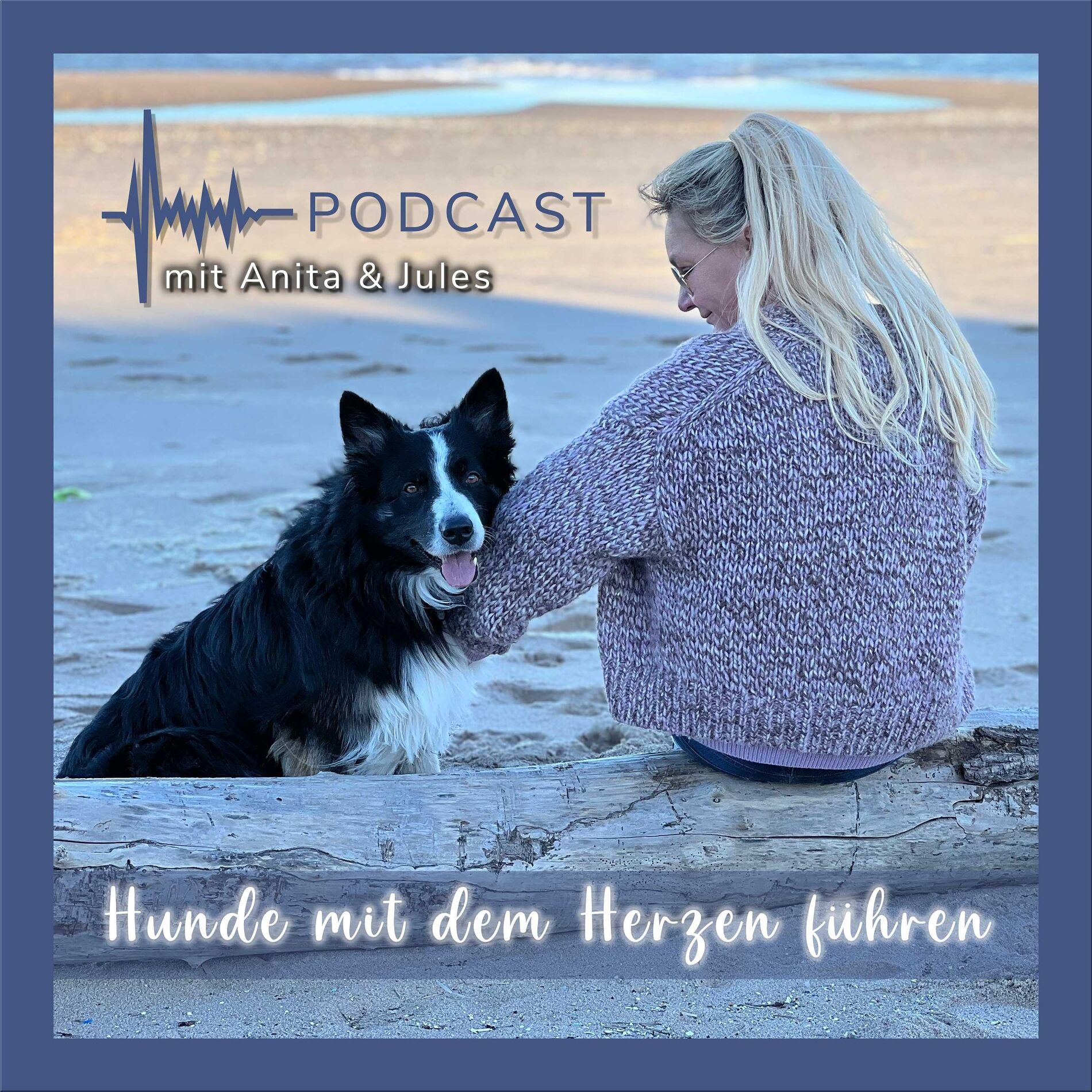 Show cover of Hunde mit dem Herzen führen by Anita Balser
