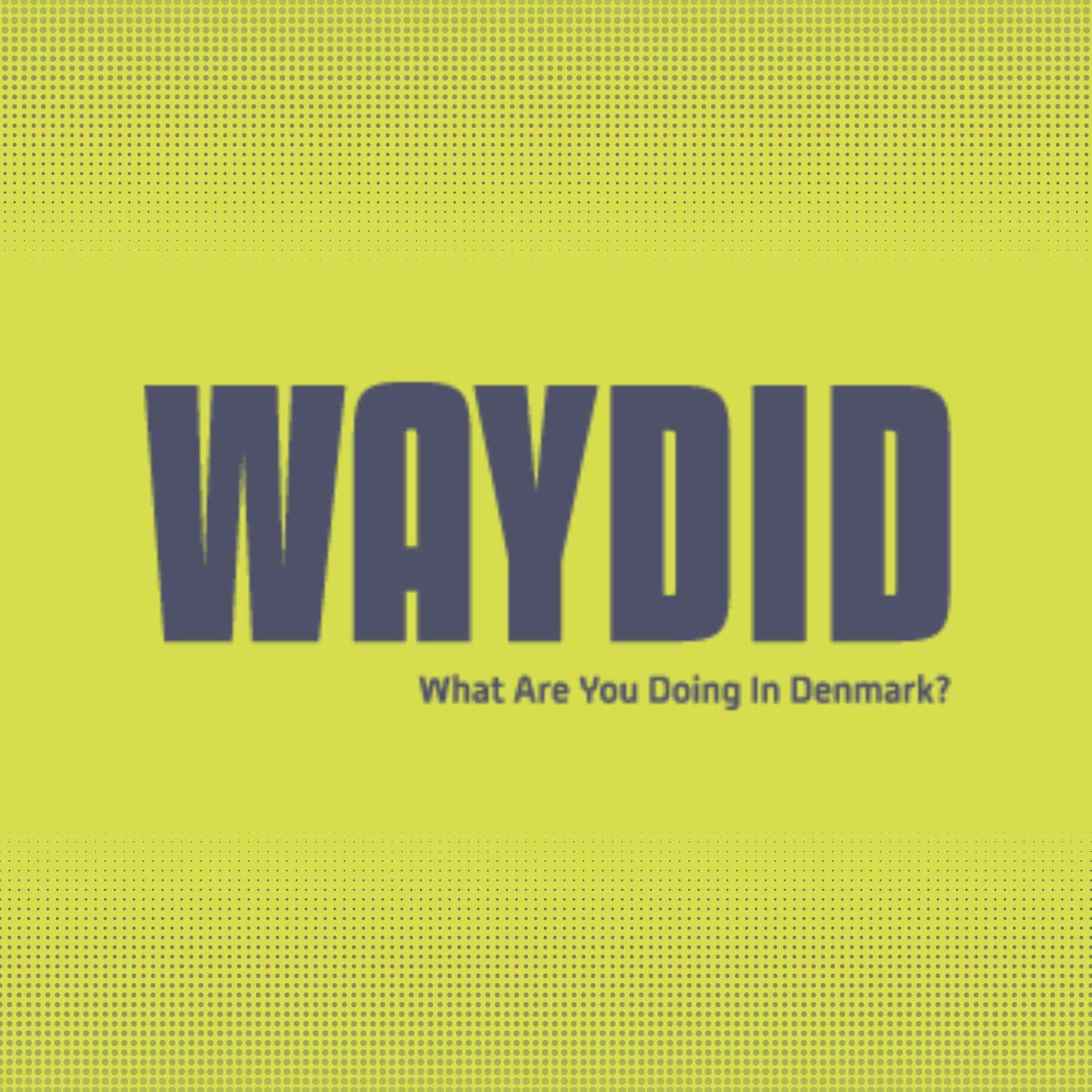 Show cover of What Are You Doing in Denmark?