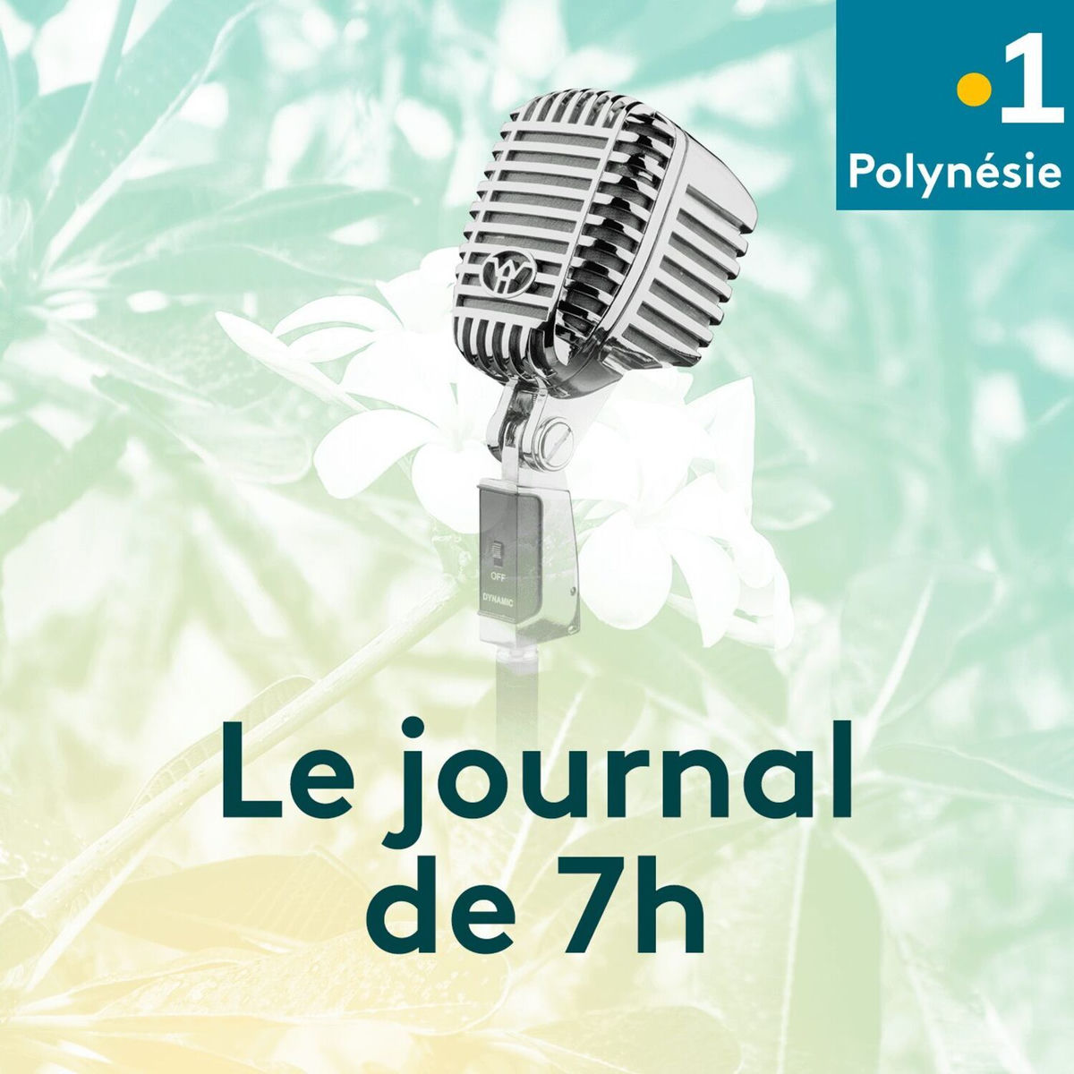 Show cover of Le journal de 7h - Polynésie