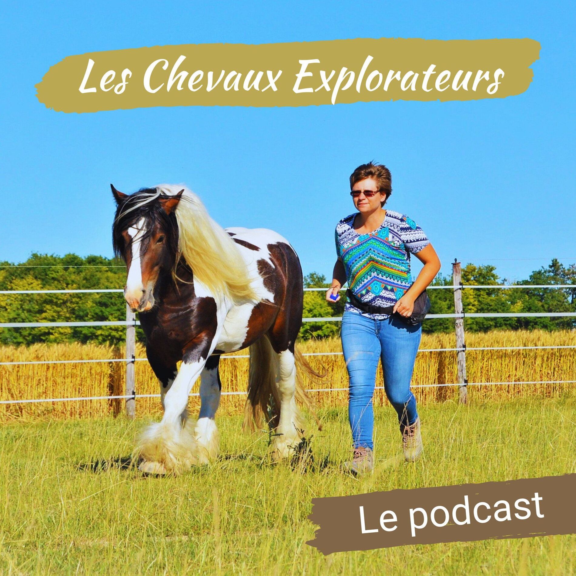 Show cover of Les Chevaux Explorateurs