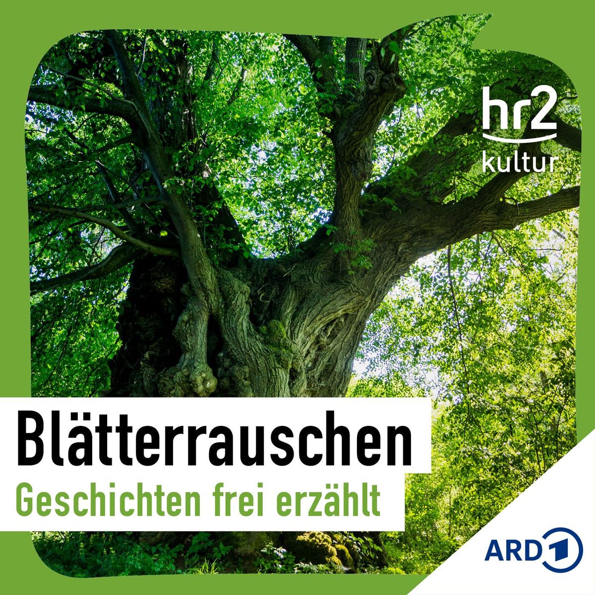 Show cover of Blätterrauschen – Geschichten für Erwachsene, frei erzählt