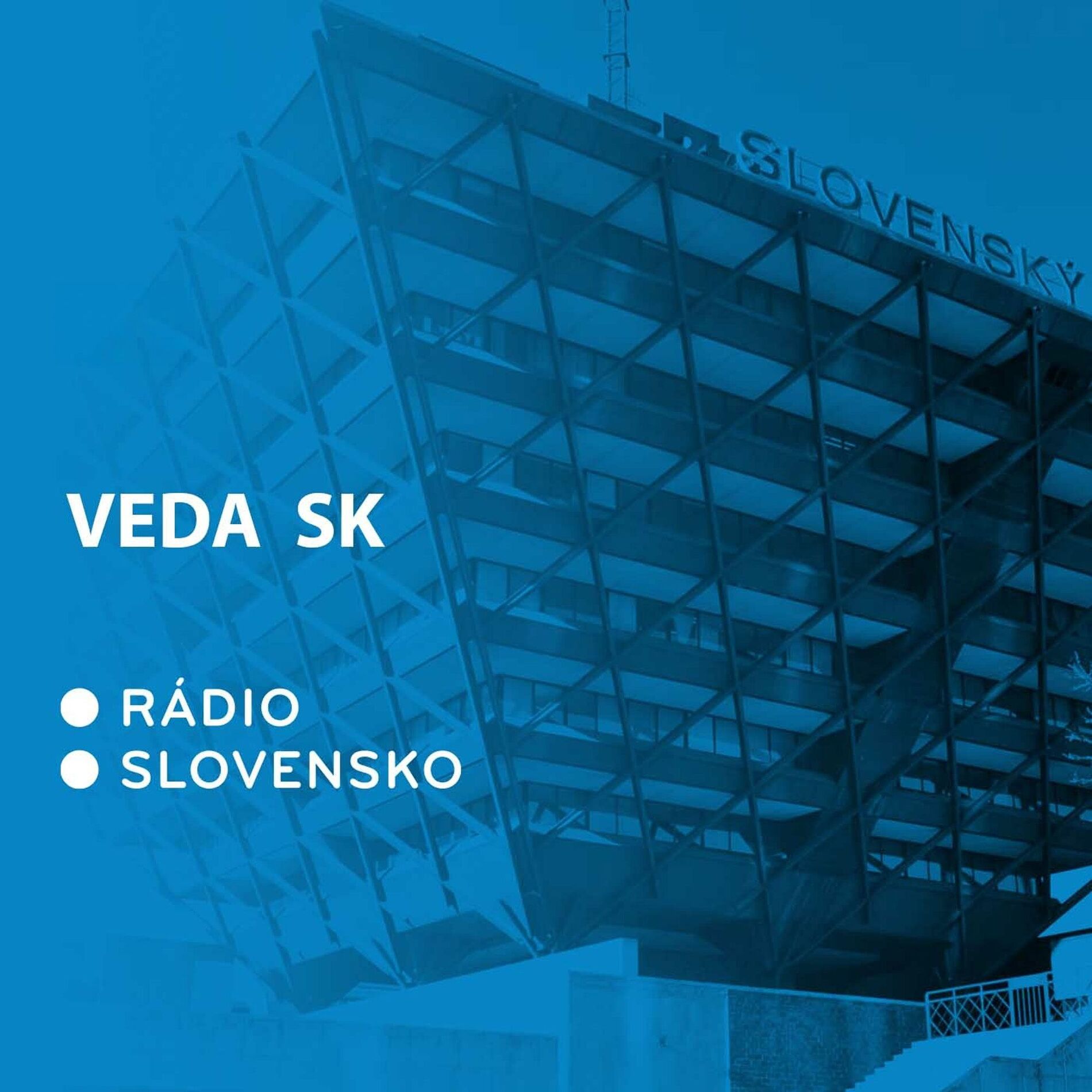 Show cover of Veda SK