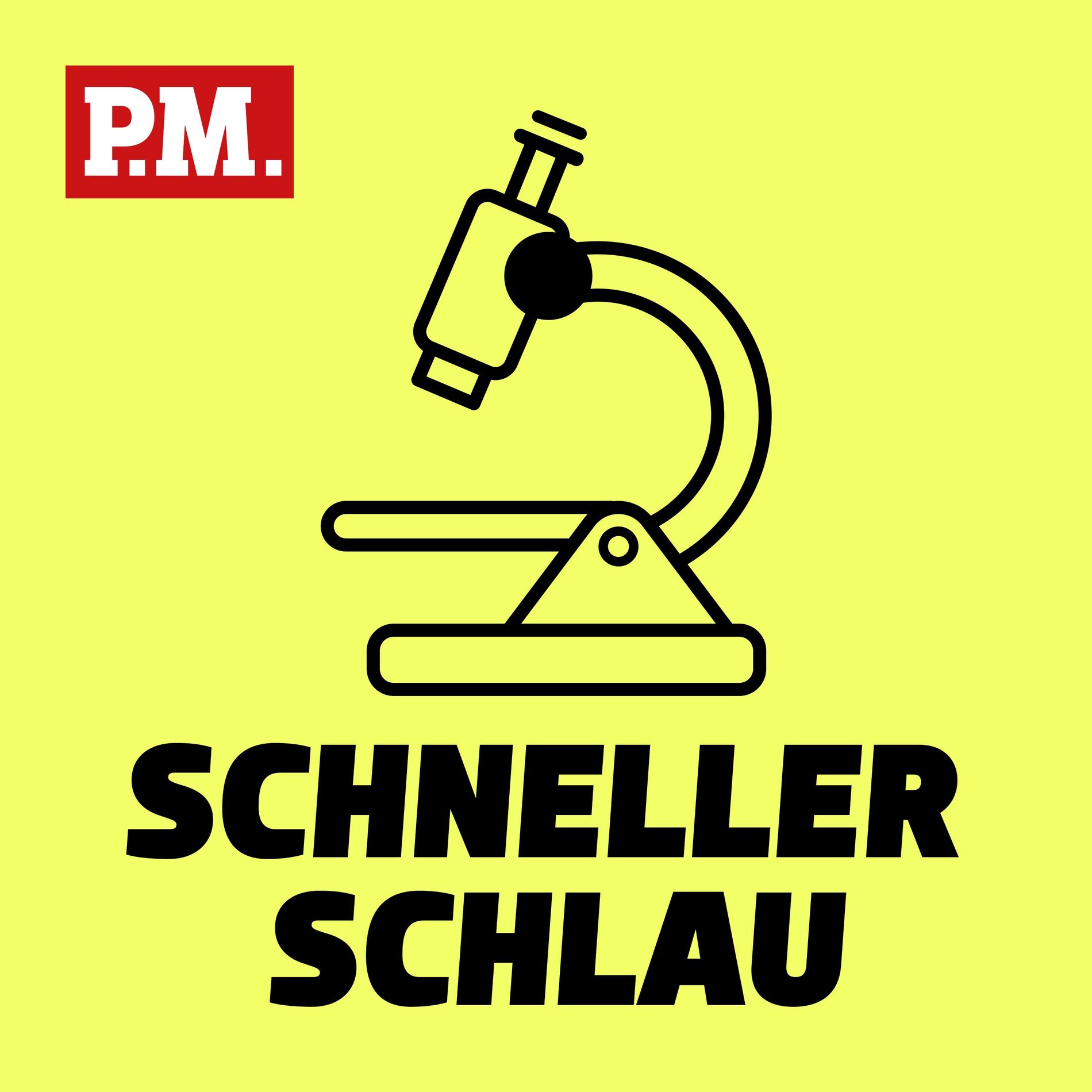 Show cover of Schneller schlau - Der kurze Wissenspodcast von P.M.