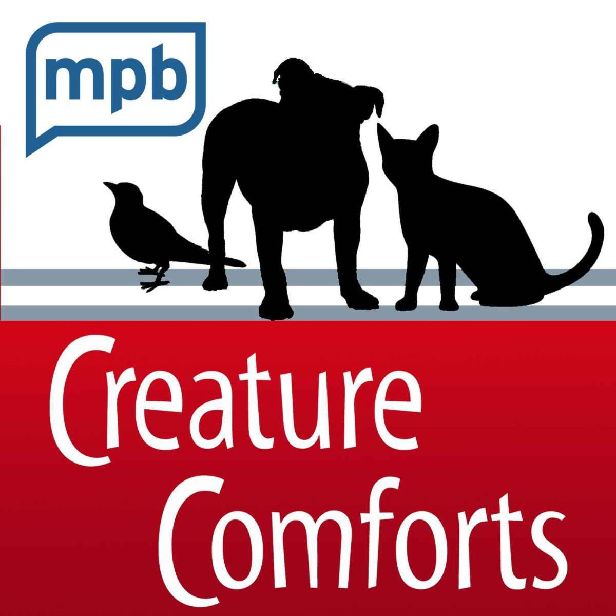 Show cover of Creature Comforts
