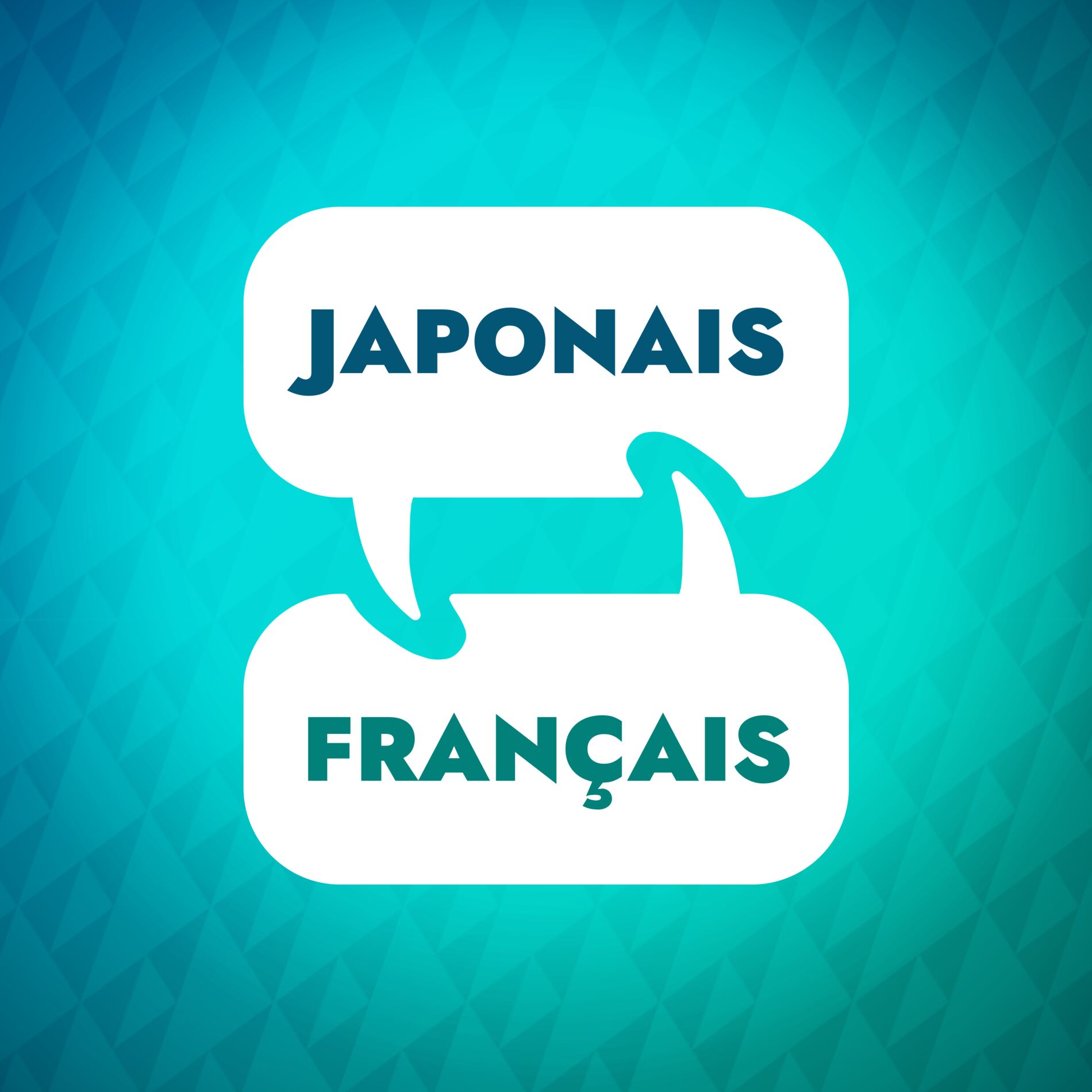 Show cover of Accélérateur d'apprentissage du japonais
