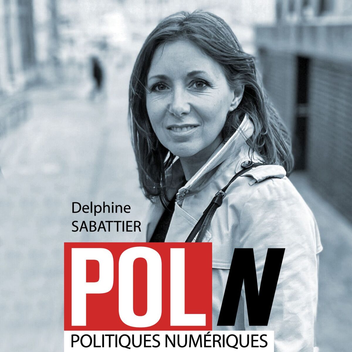 Show cover of POLITIQUES NUMERIQUES (POL/N)