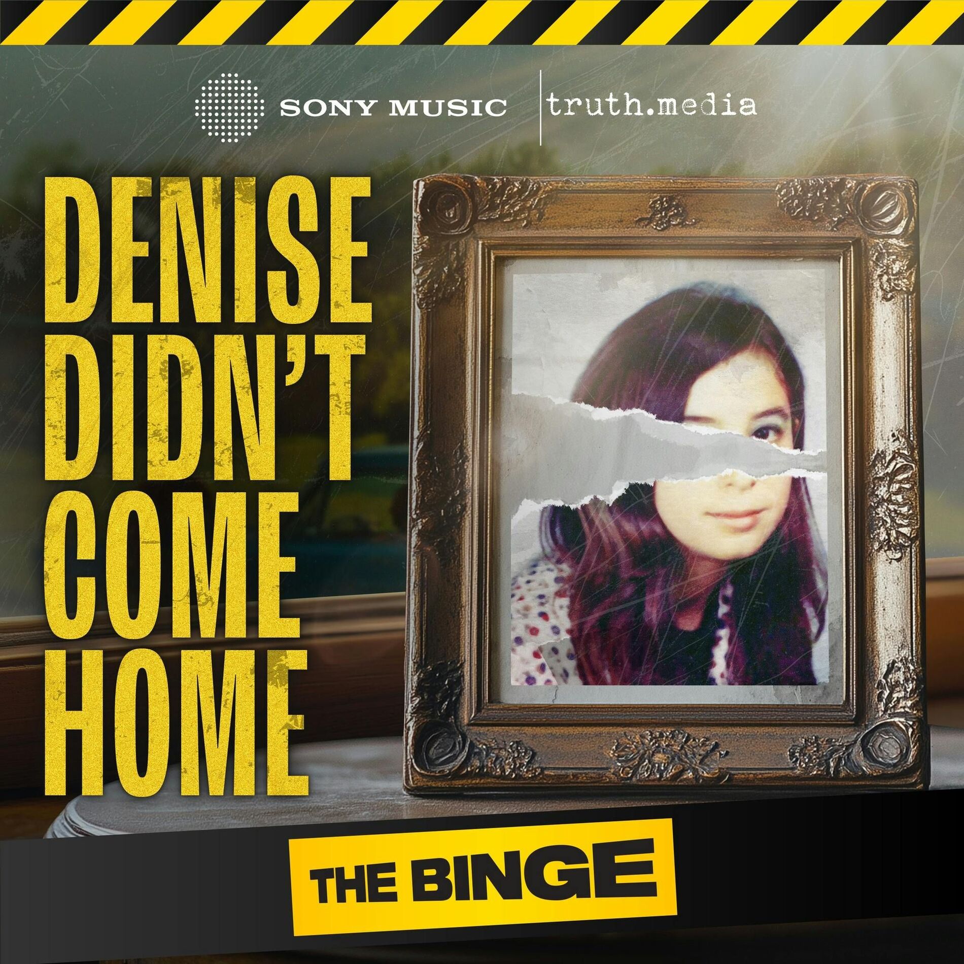 Show cover of Denise Didn't Come Home