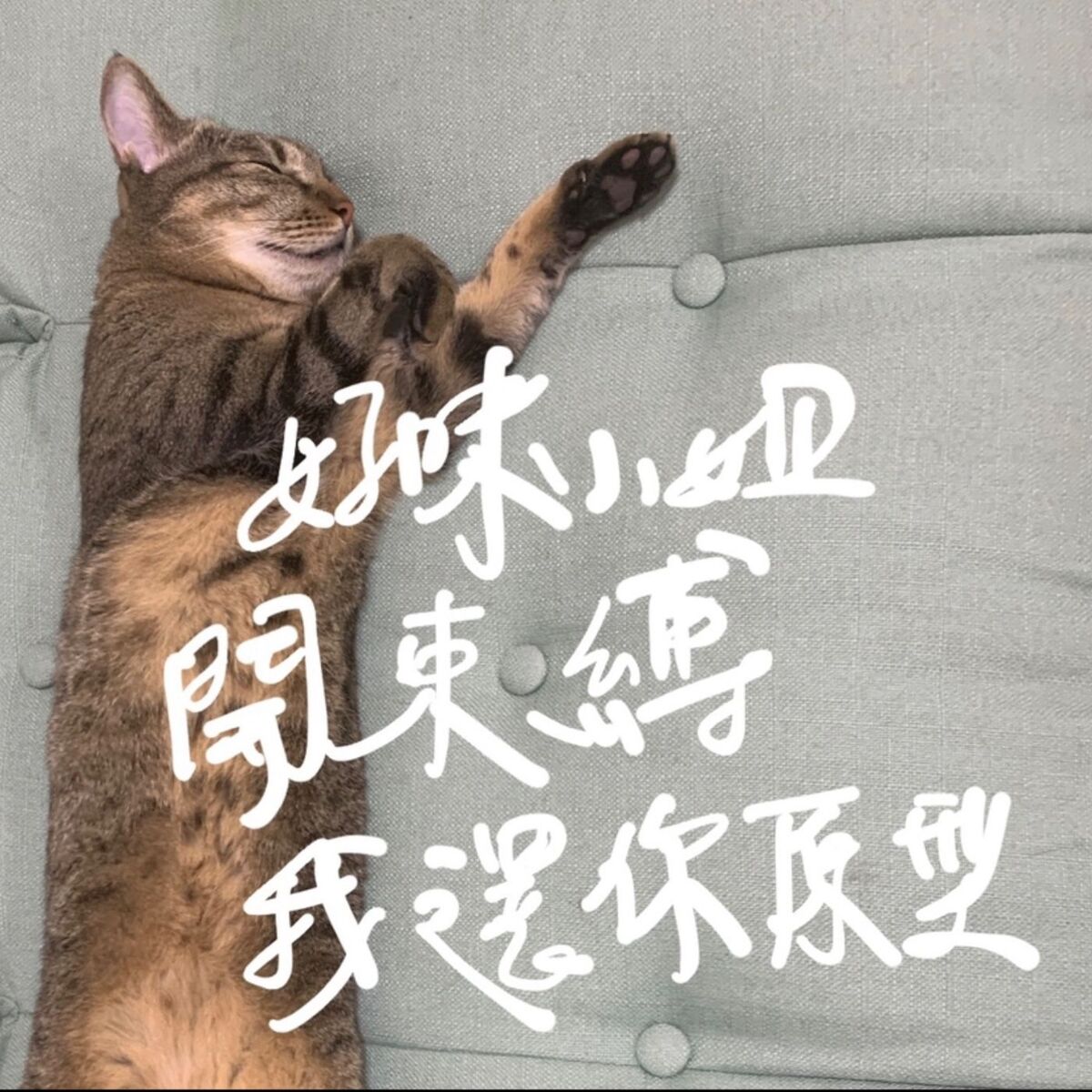Show cover of 好味小姐開束縛我還你原形