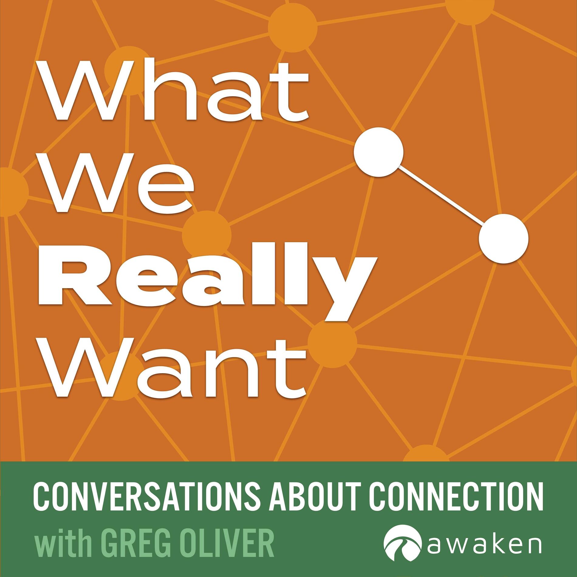 Show cover of What We Really Want: Conversations About Connection