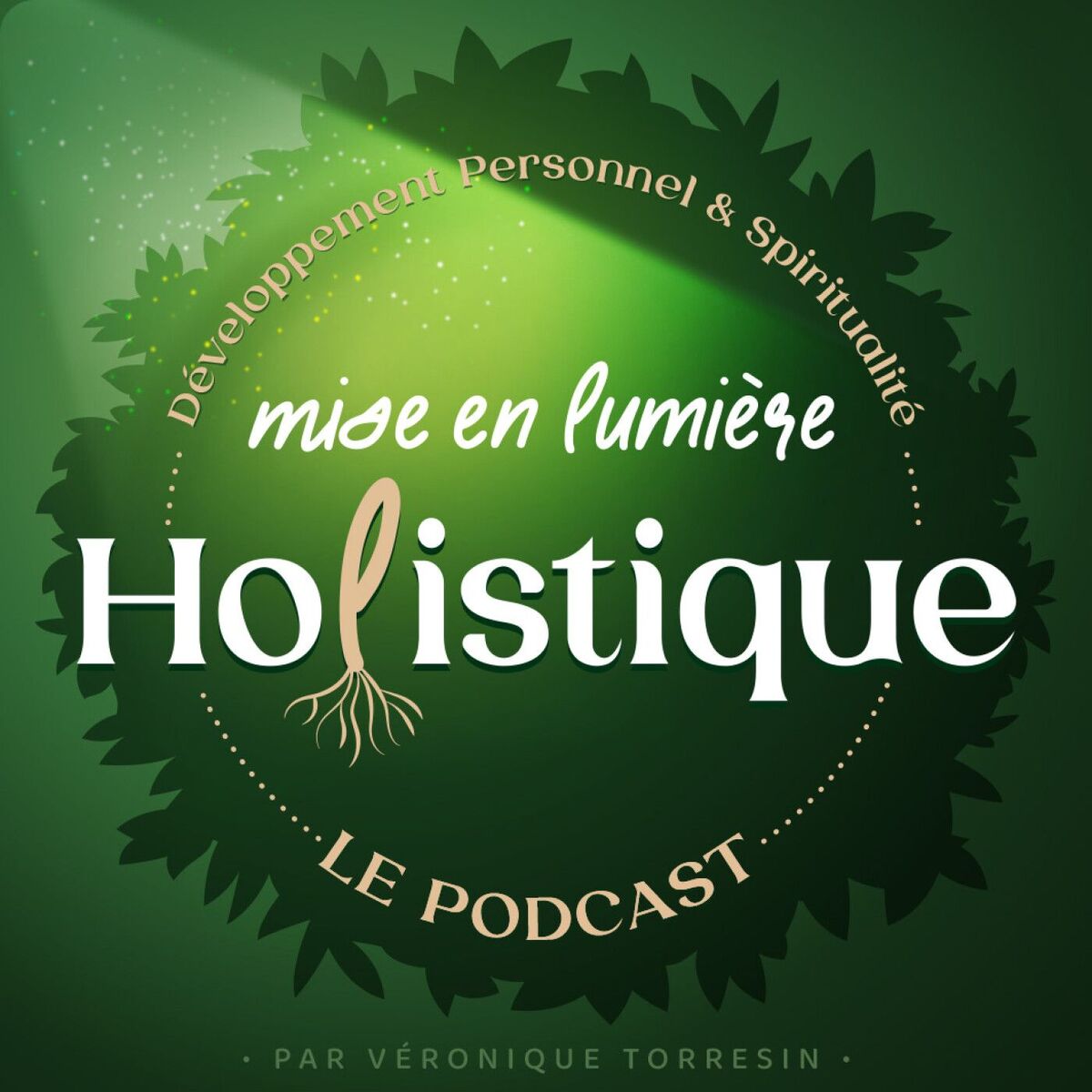 Show cover of Mise en Lumière Holistique