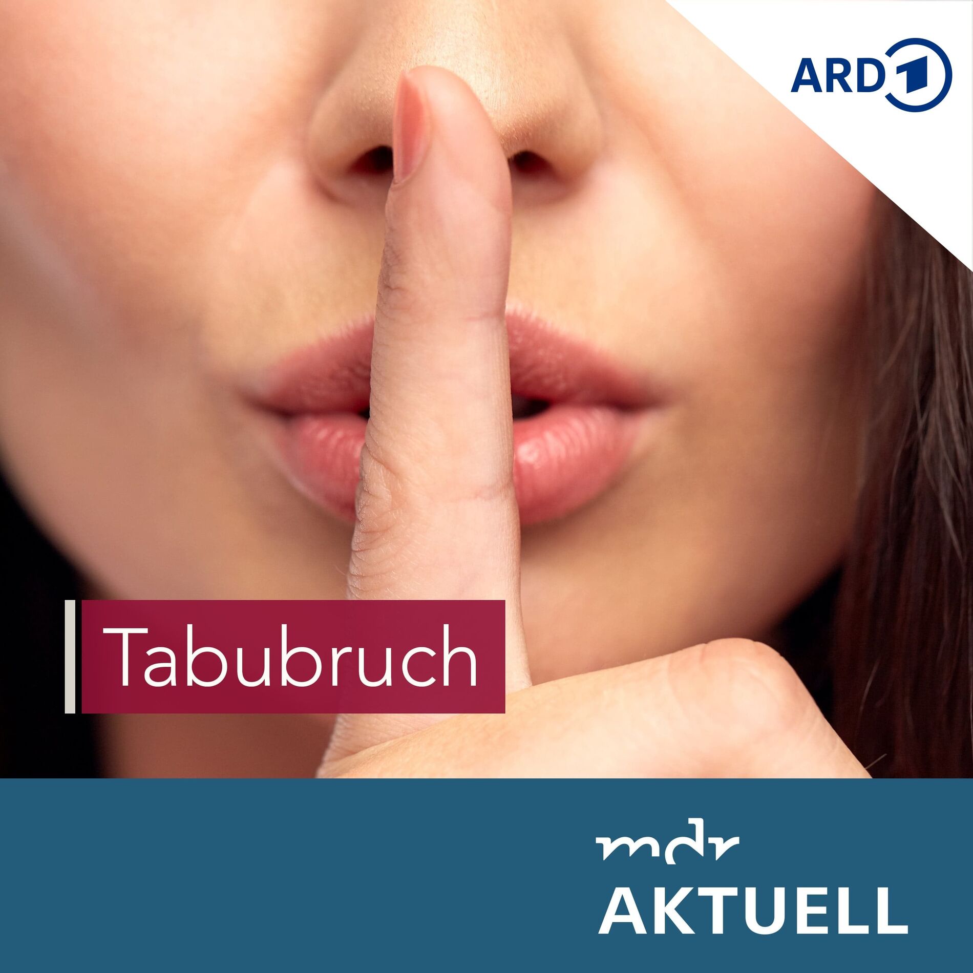 Show cover of Tabubruch von MDR AKTUELL