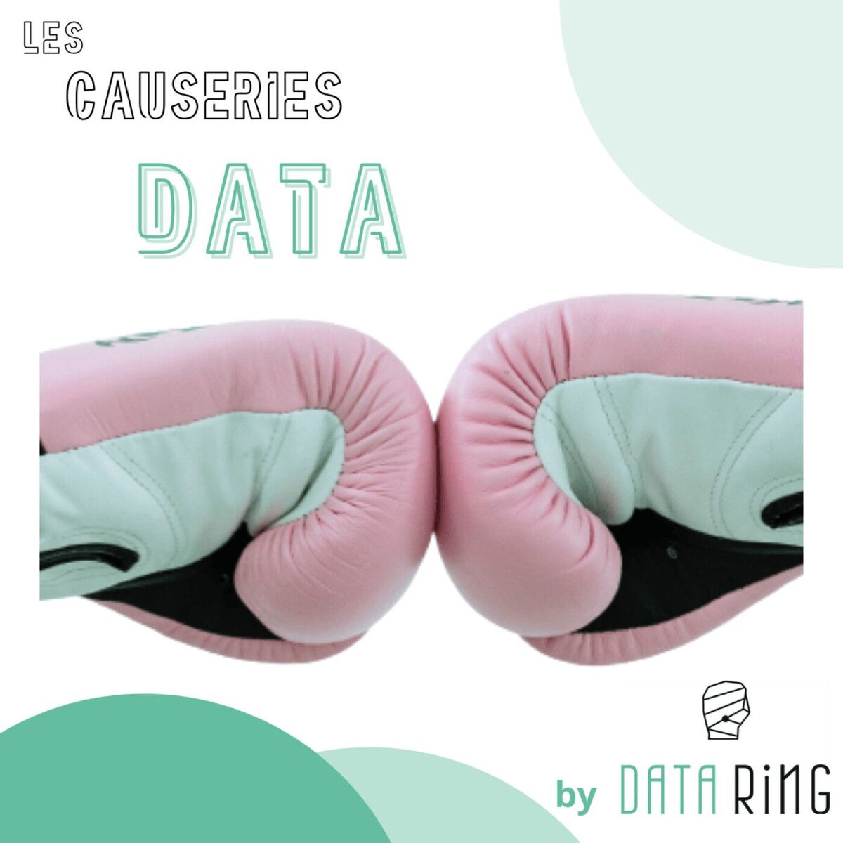 Show cover of Les Causeries Data de Data Ring