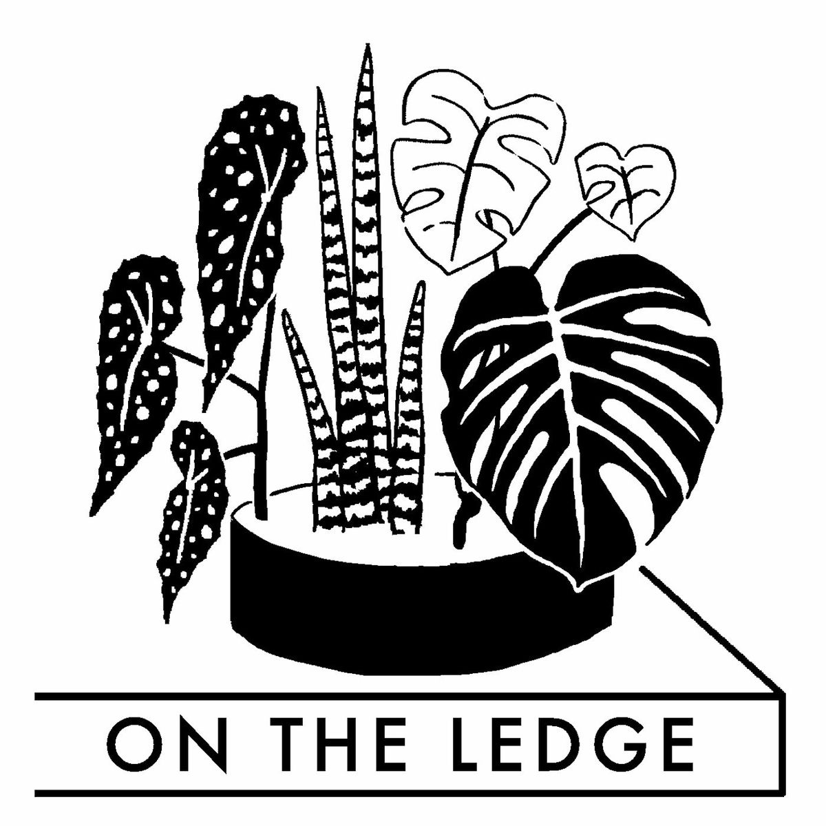 Show cover of On The Ledge