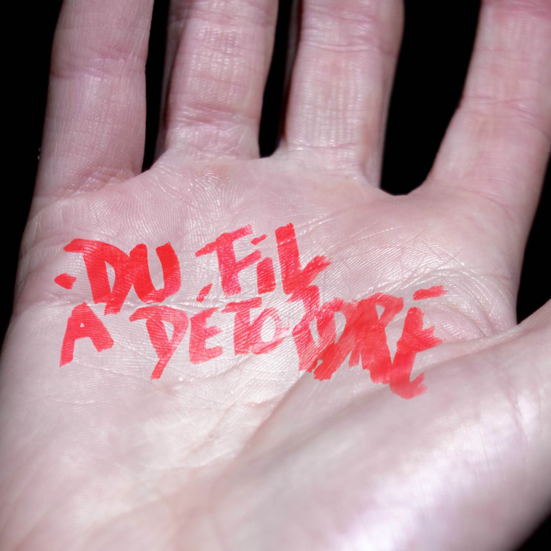 Show cover of Du Fil à Détordre