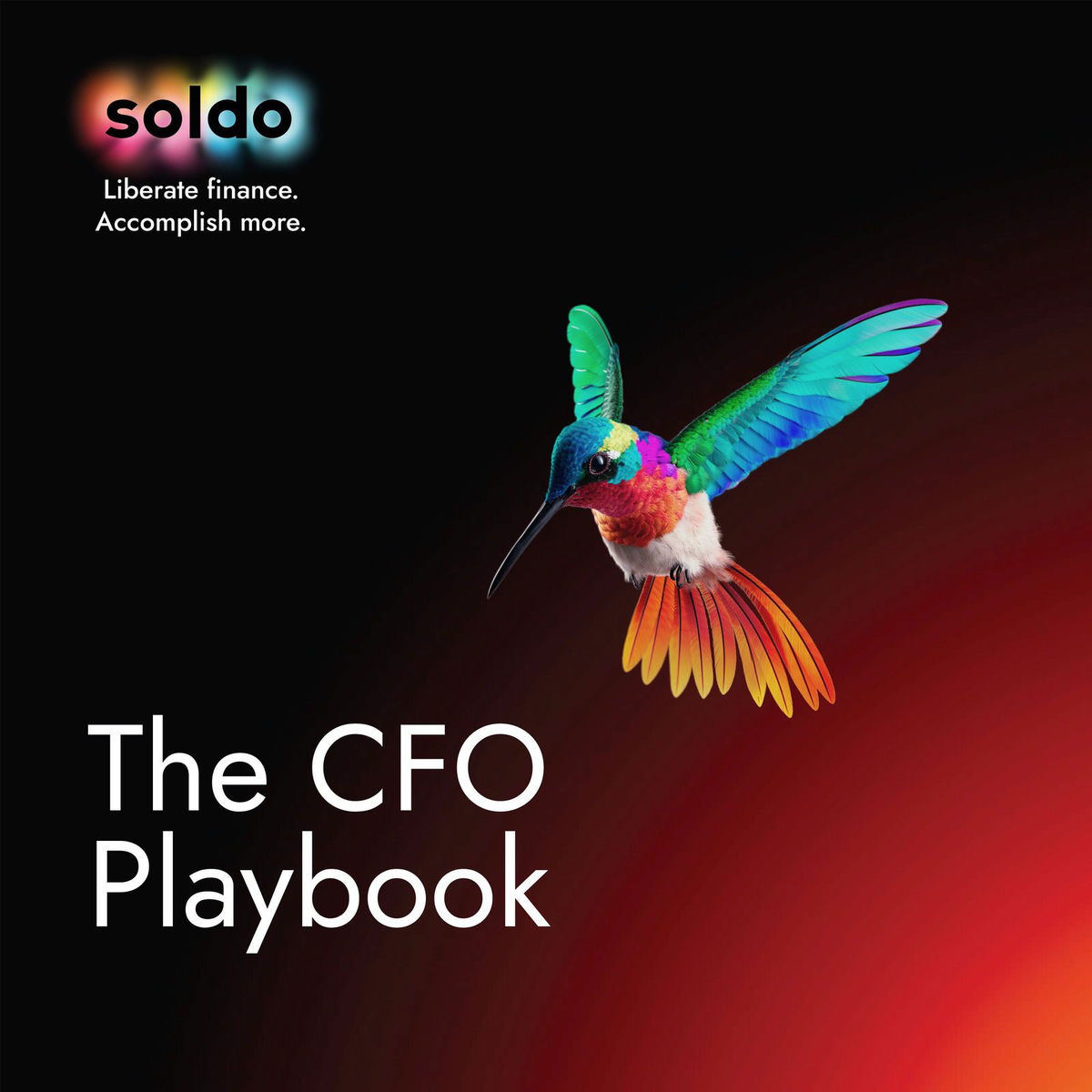 Show cover of The CFO Playbook