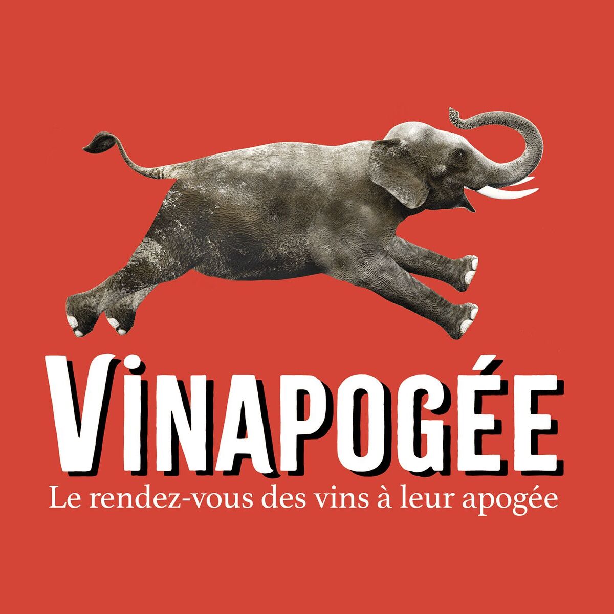 Show cover of Vinapogée, le rendez-vous des vins à leur apogée