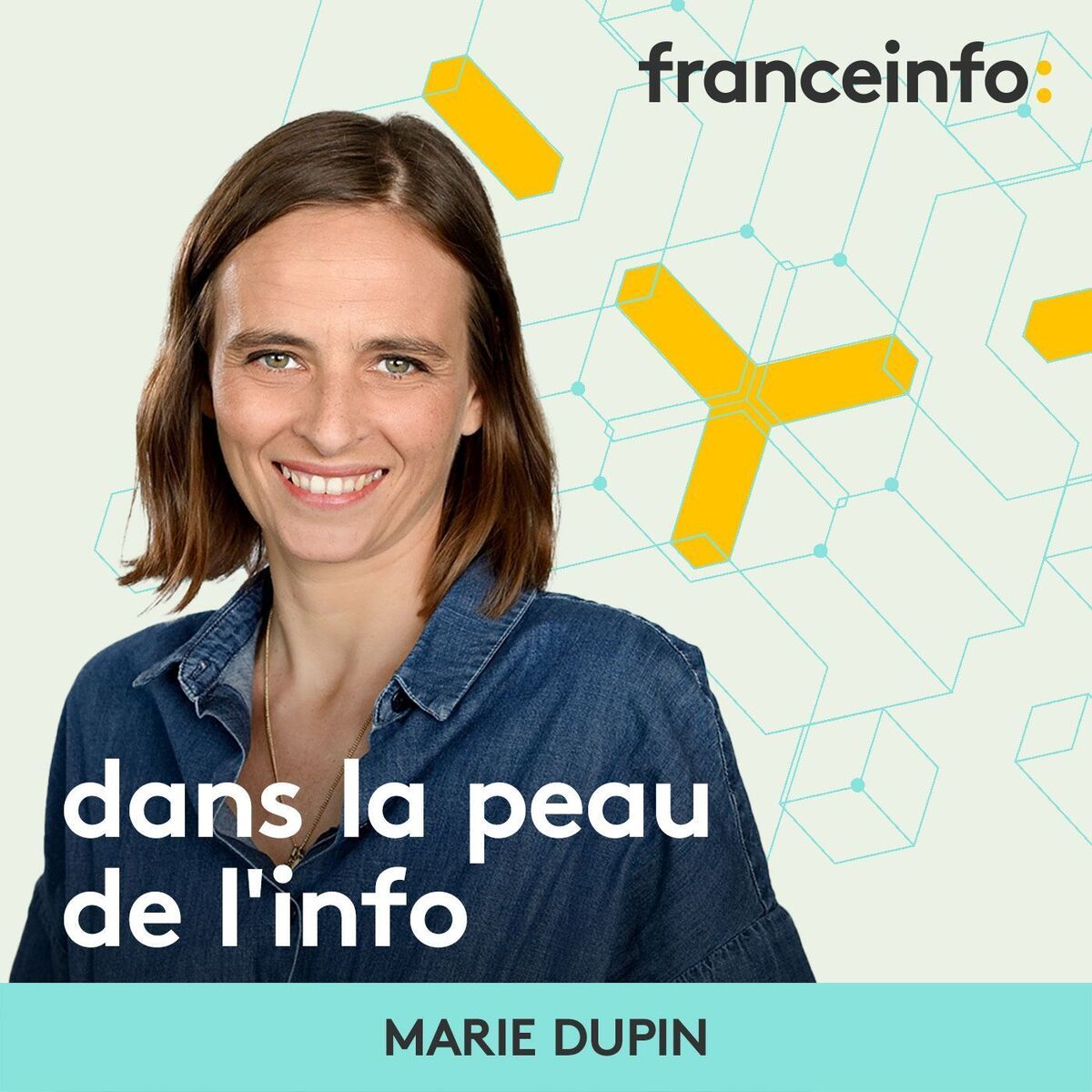 Show cover of Dans la peau de l'info